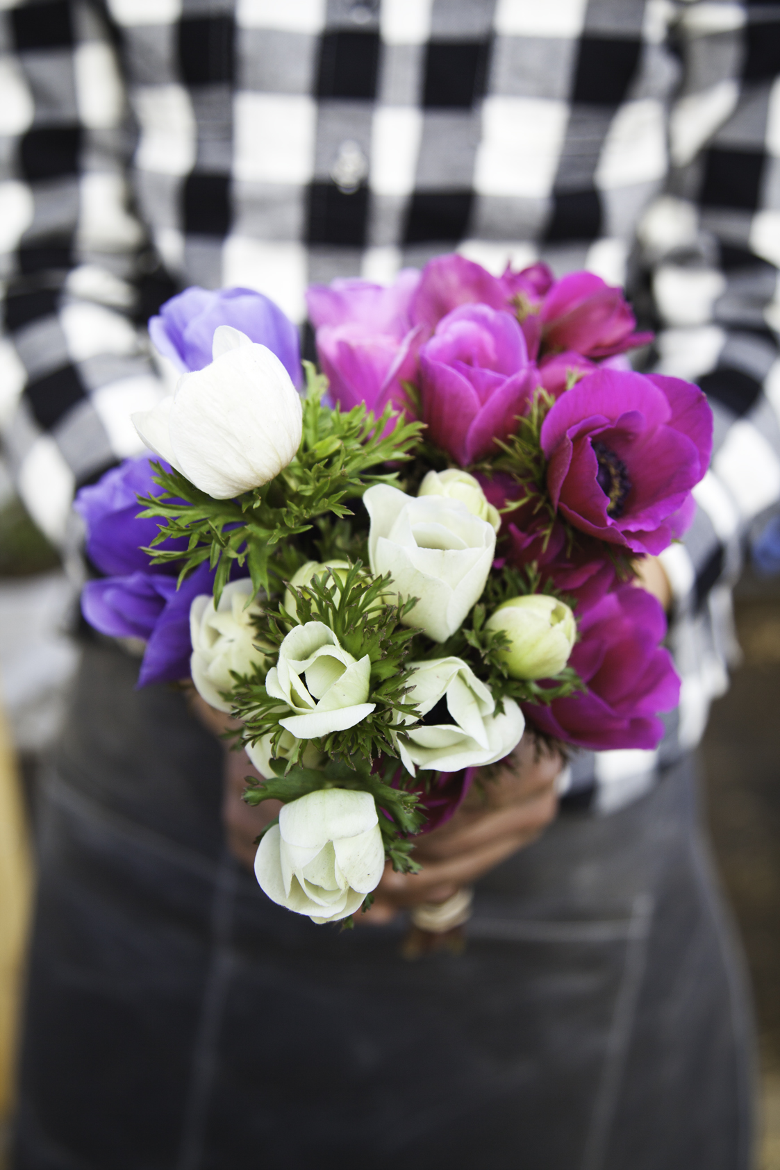 Fivefork Farms - 10.jpg