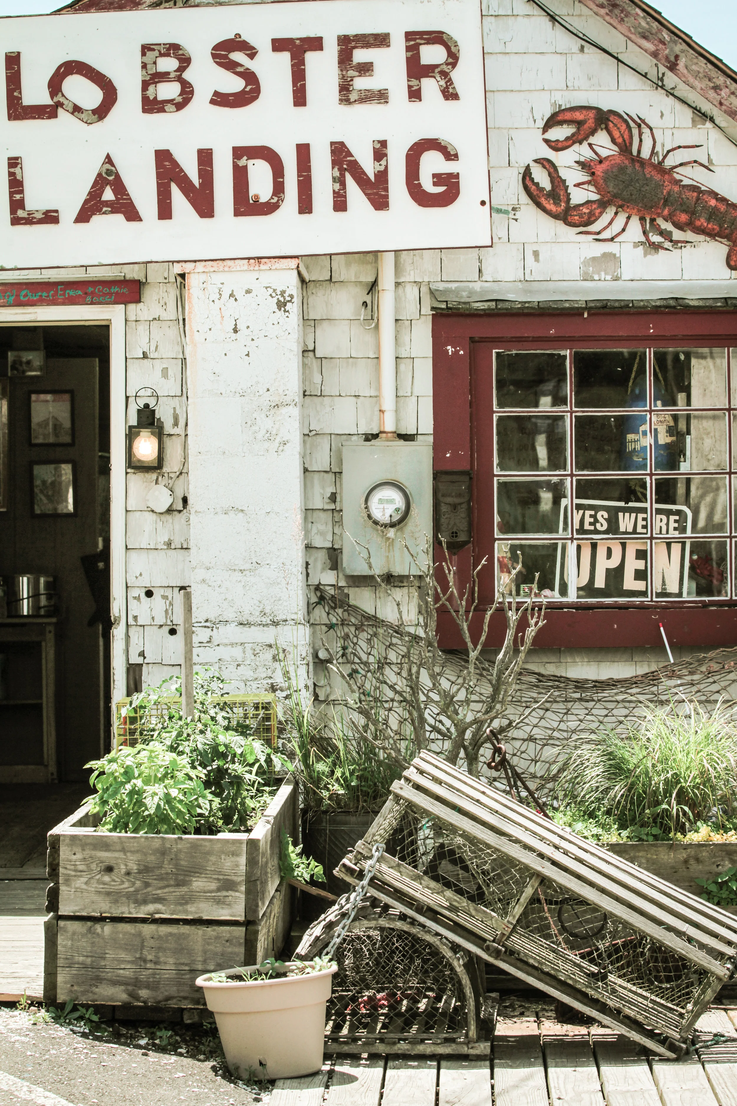 Lobster Landing-92.jpg