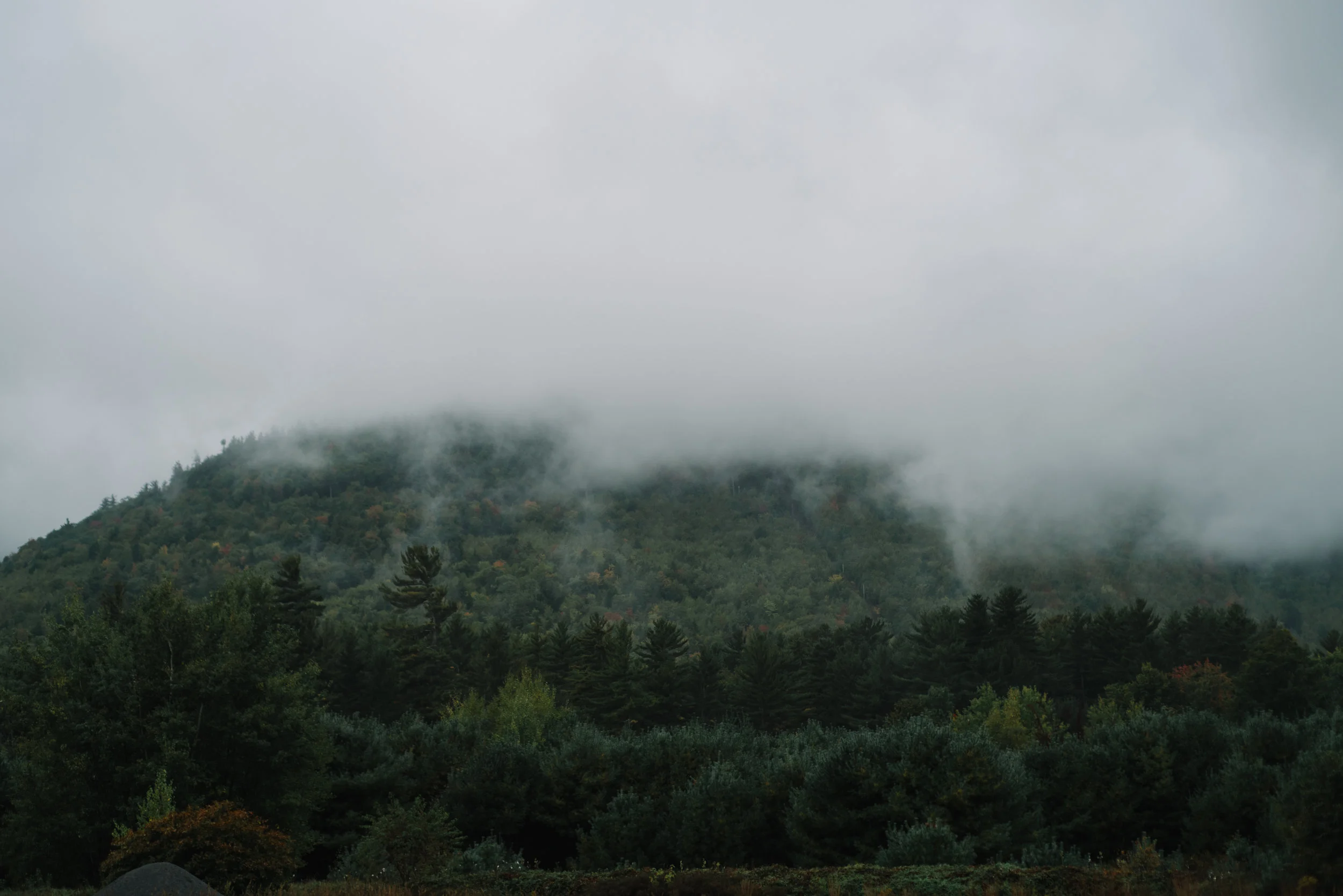 Autumn-2016-13.jpg