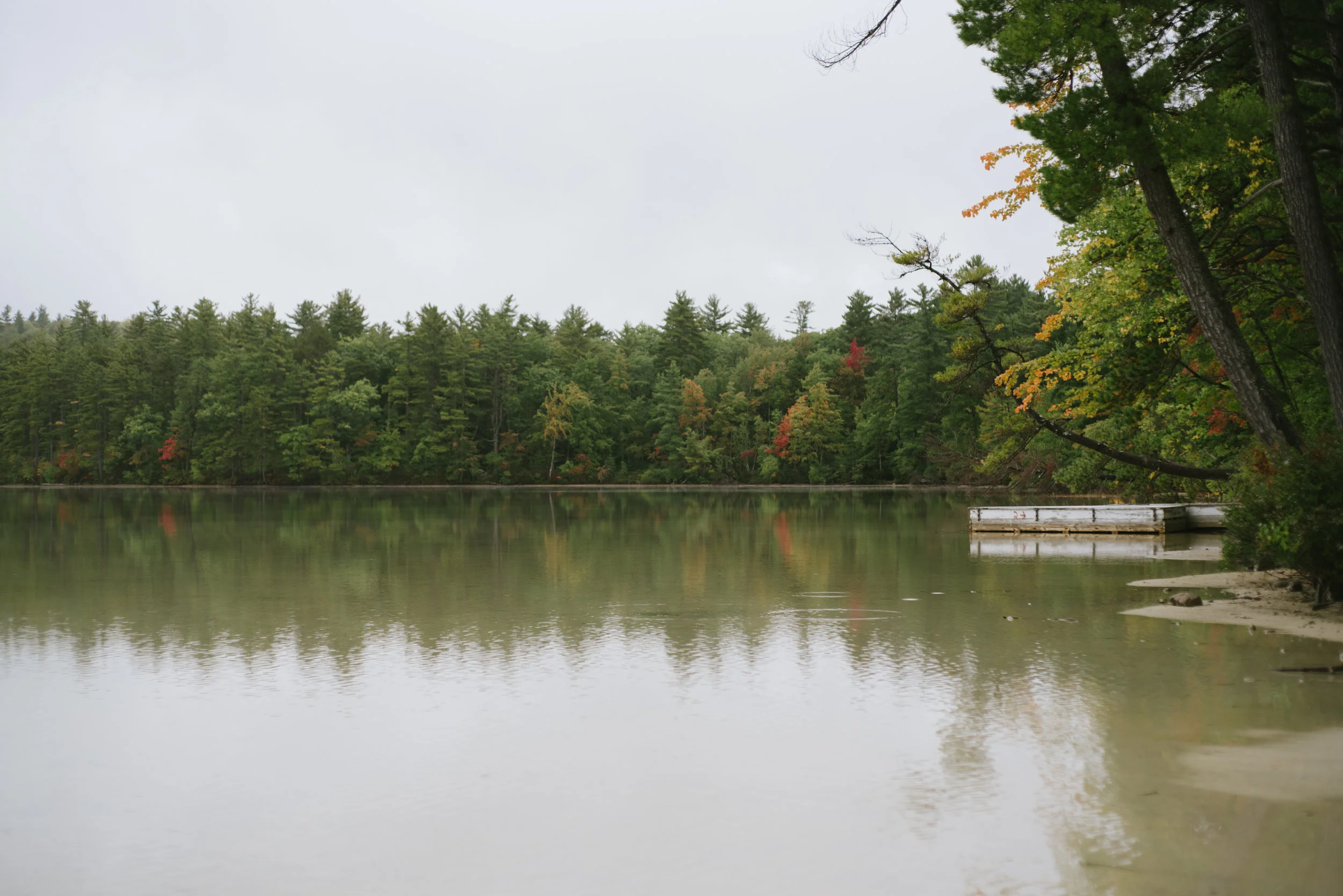 Autumn-2016-17.jpg