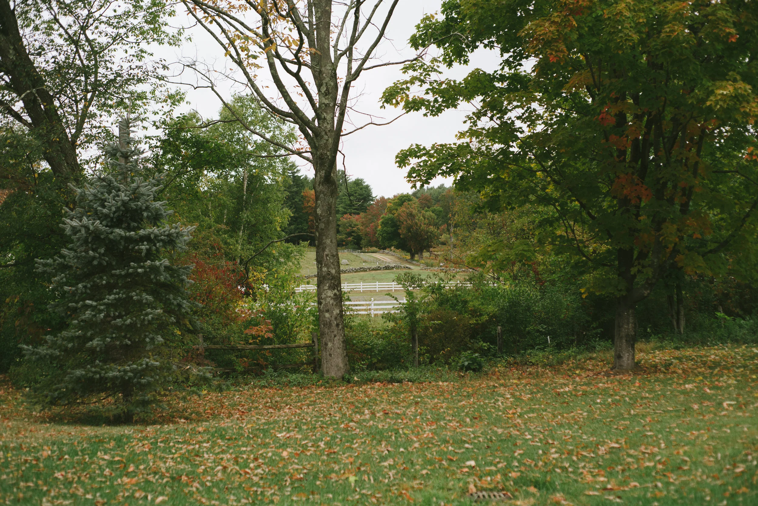 Autumn-2016-26.jpg