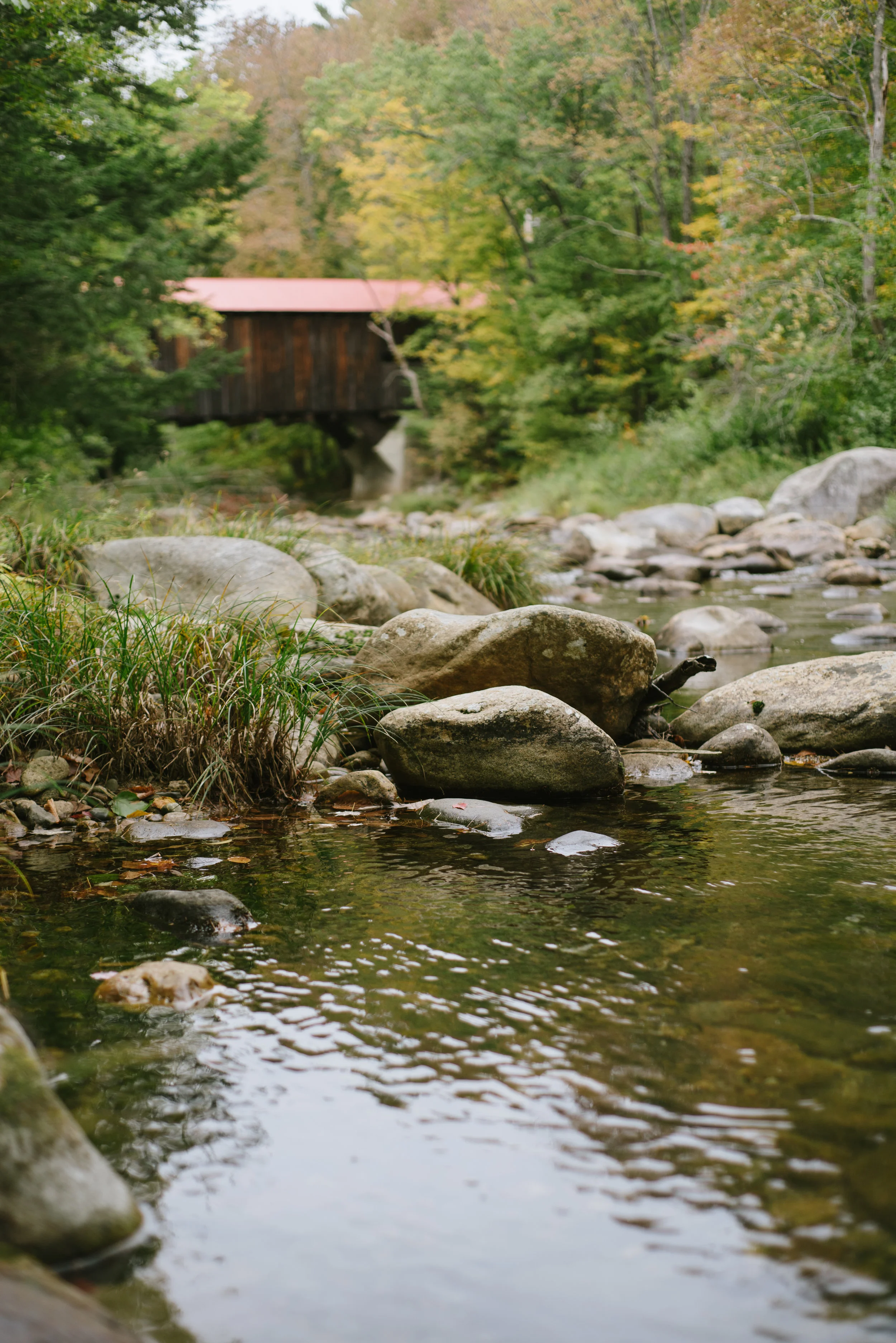 Autumn-2016-36.jpg
