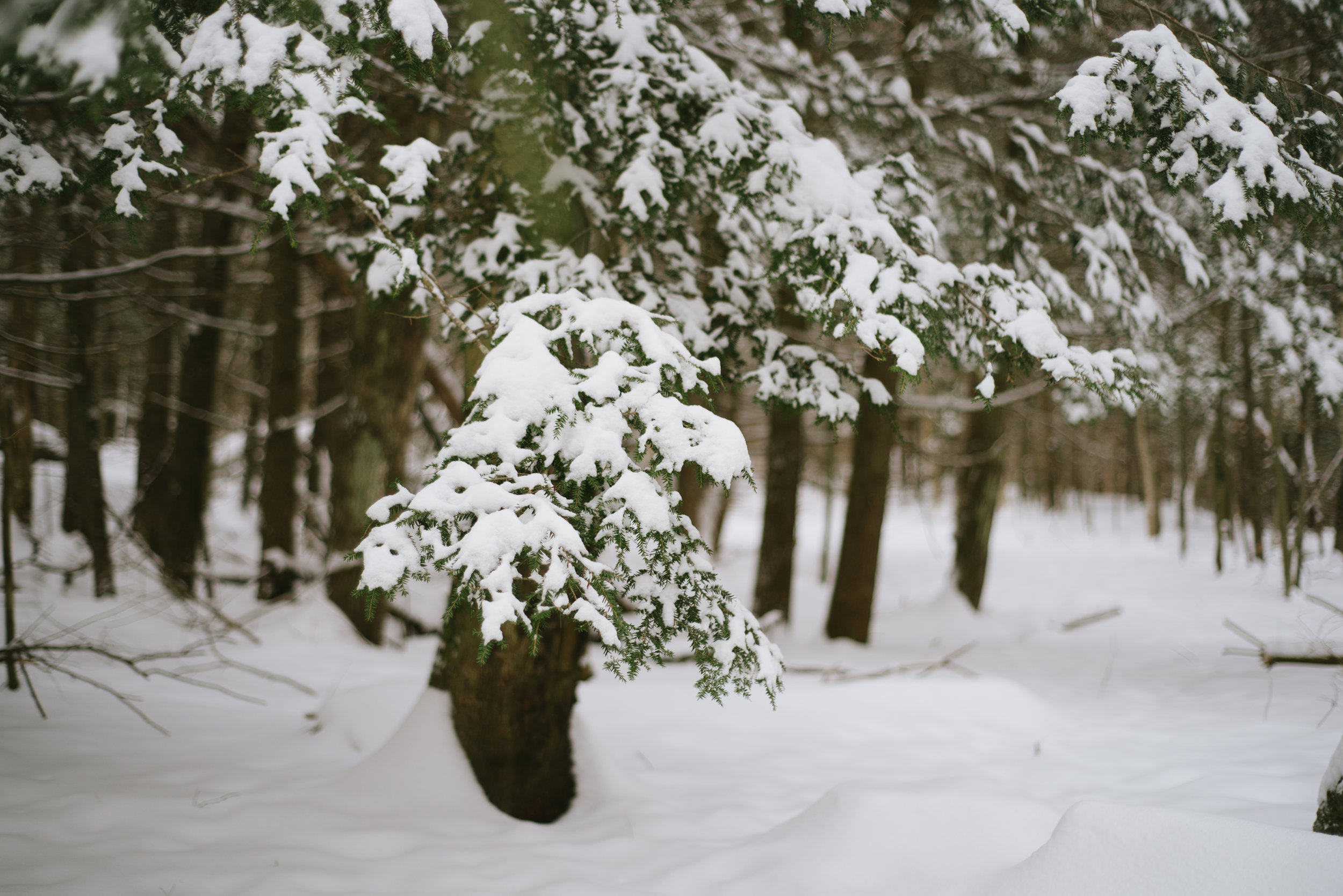 Winter-RoadTrip-13.jpg