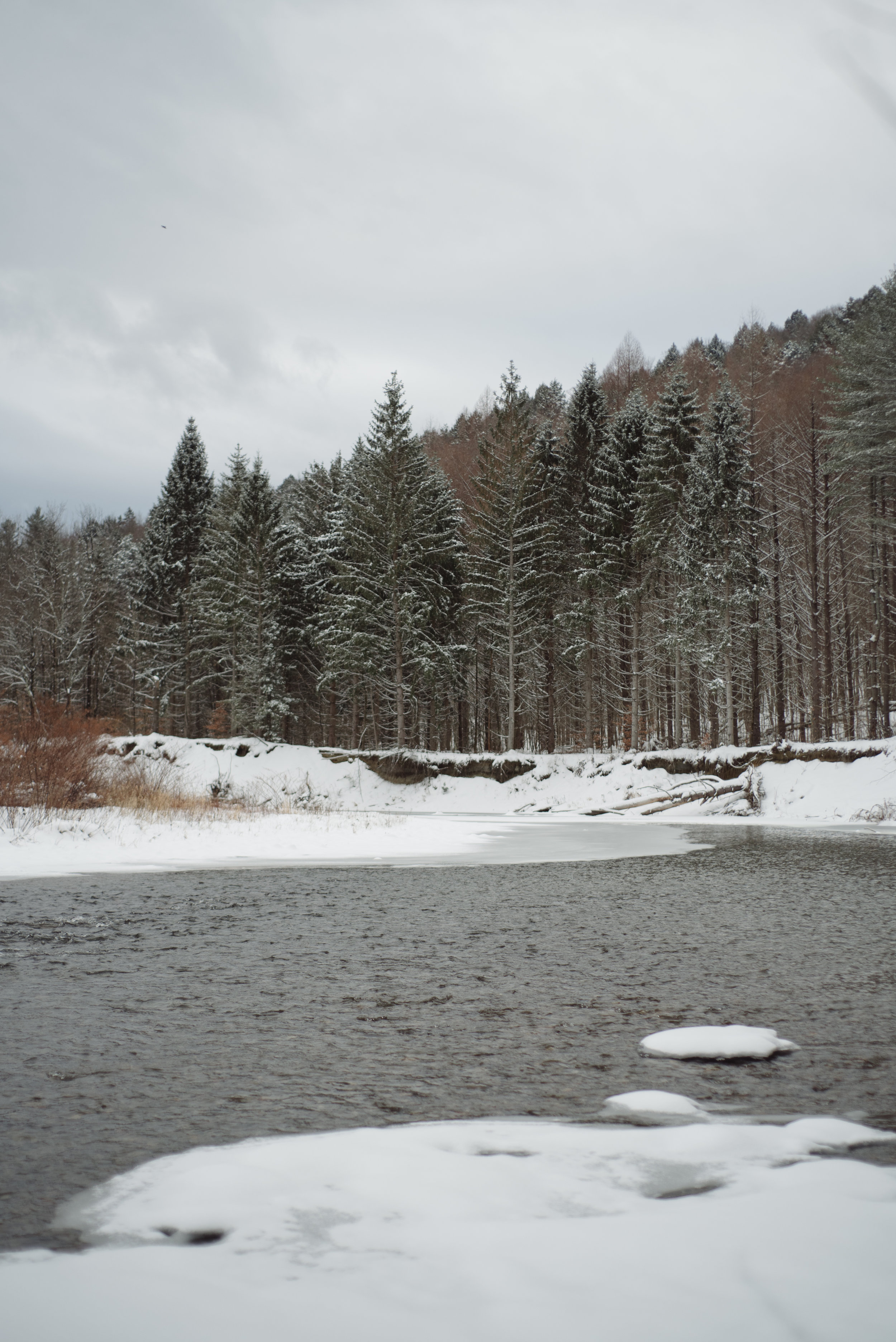Winter-RoadTrip-19.jpg