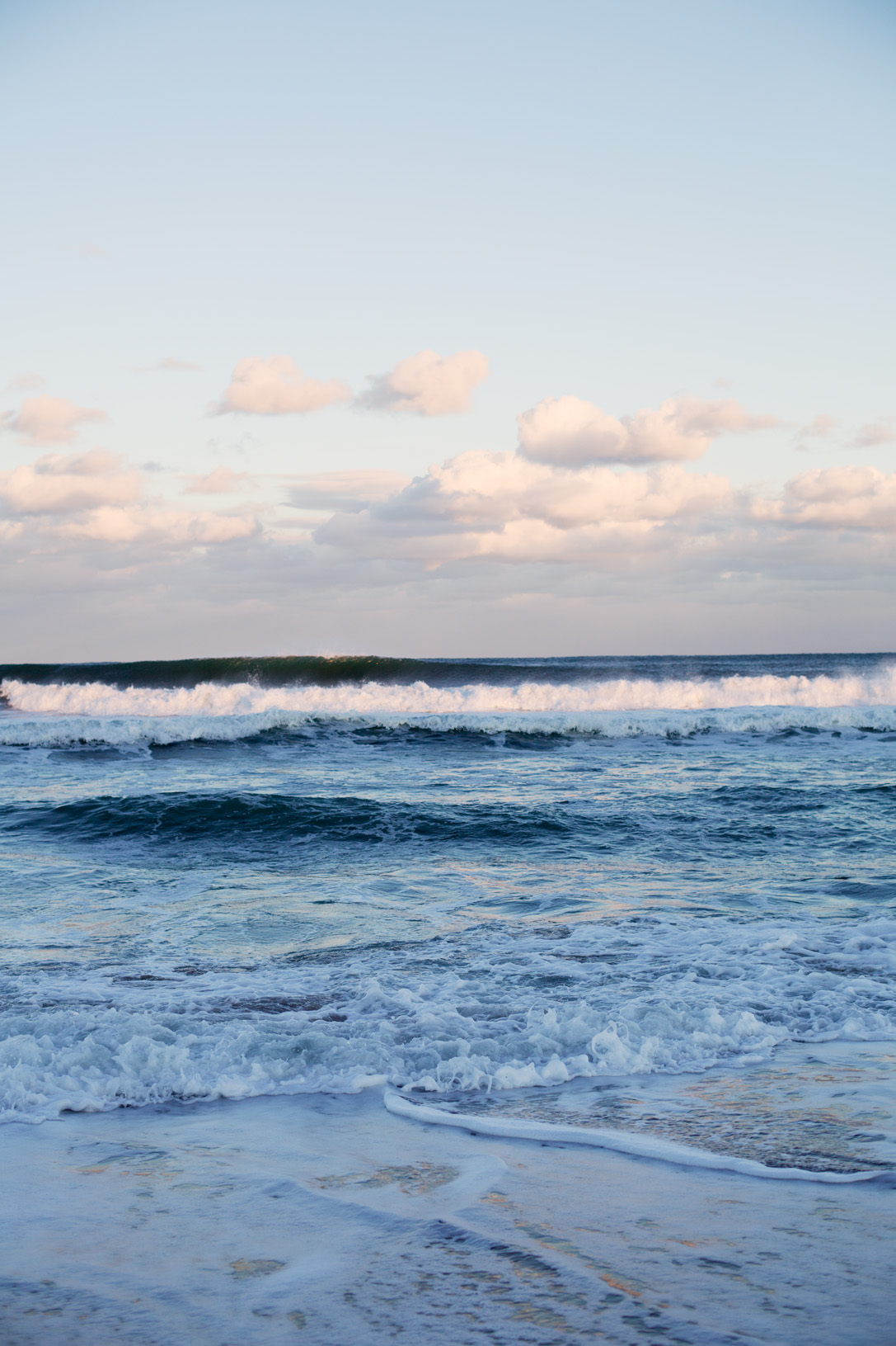 PlumIsland-09.jpg