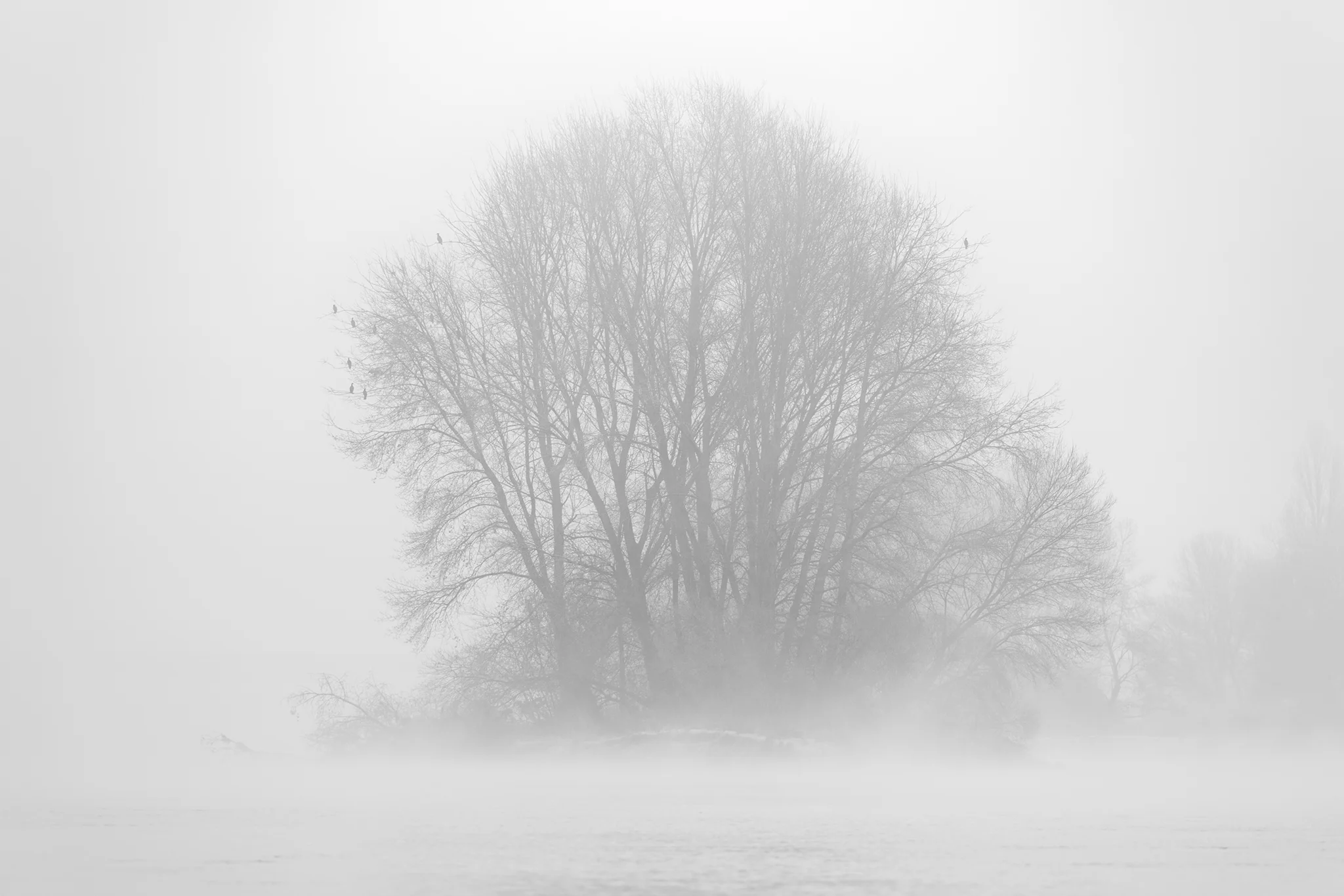 ©sitemarccphotographies_270.jpg