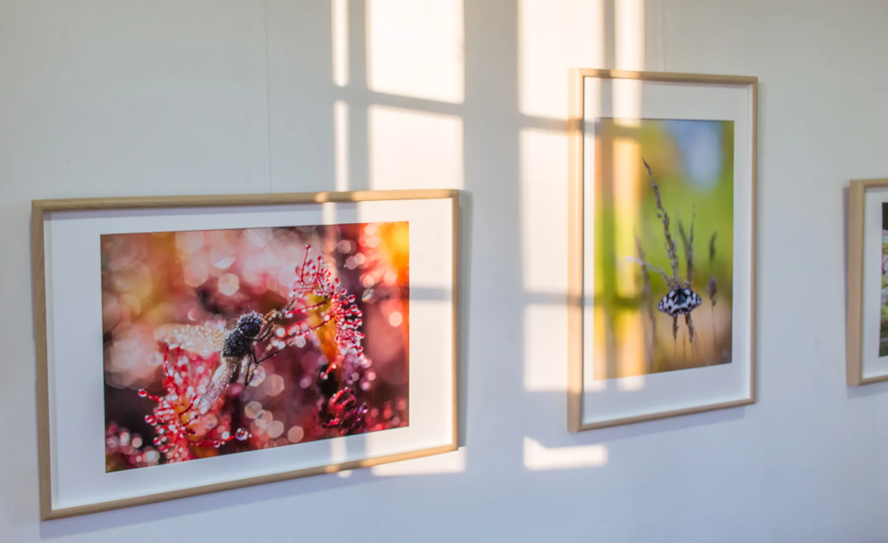 ©sitemarccphotographies_expo4.jpg