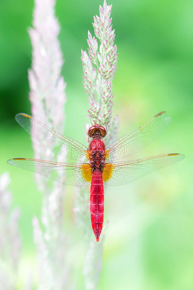 ©sitemarccphotographies_664.jpg