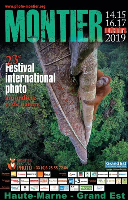 Affiche 2019 du Festival-Photo © Tim Laman