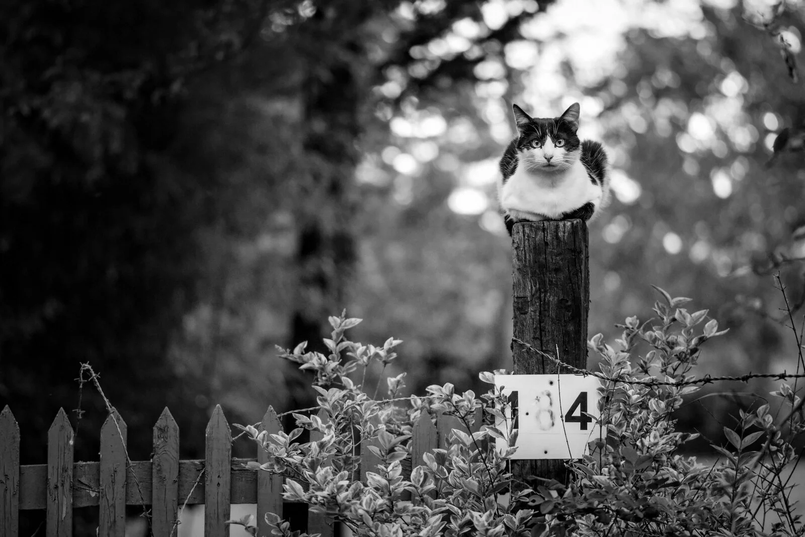 sitemarccphotographies1213.jpg
