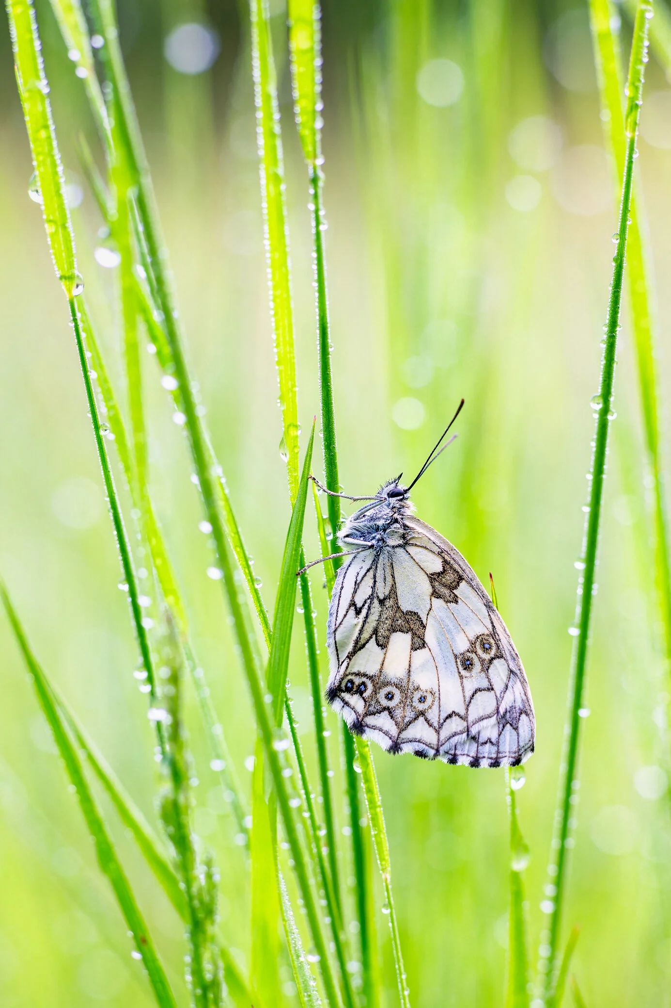 sitemarccphotographies1249.jpg