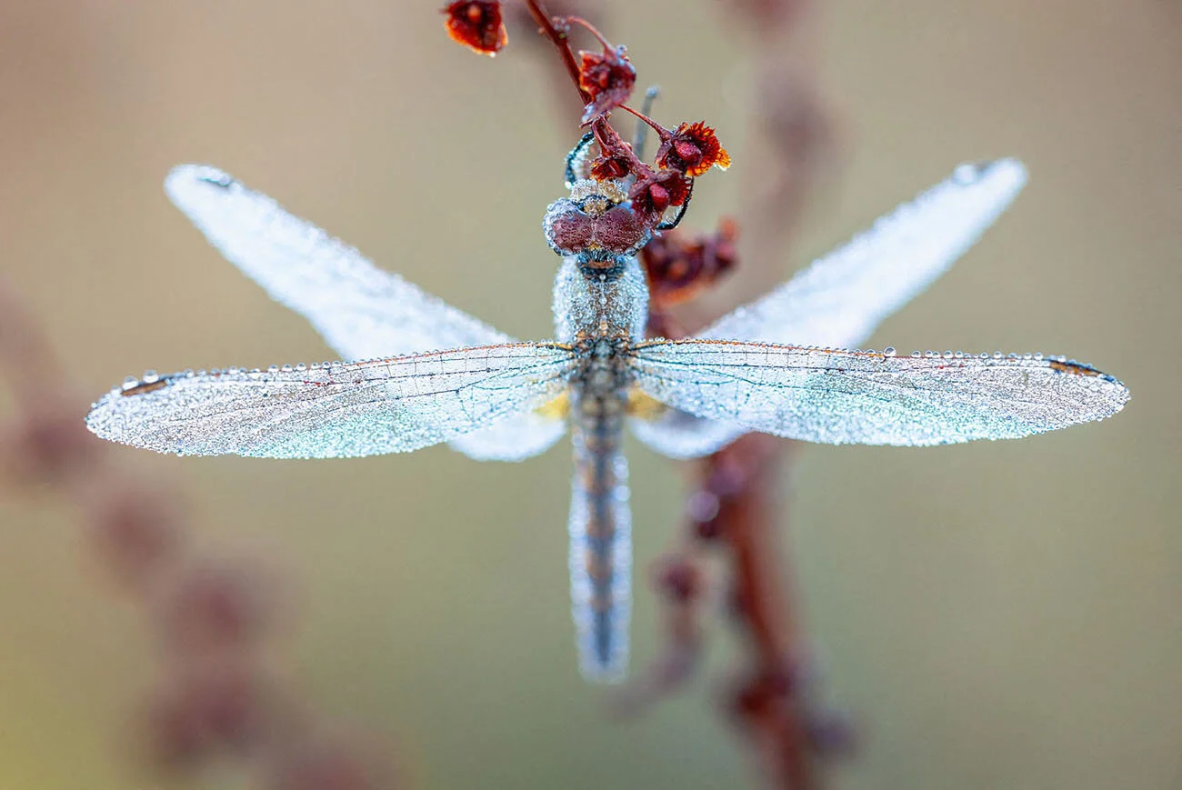 sitemarccphotographies1294.jpg