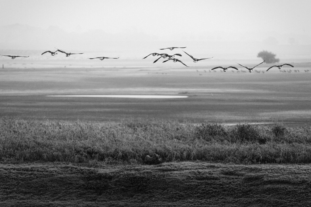 dune du pilat montier en der~4.jpg