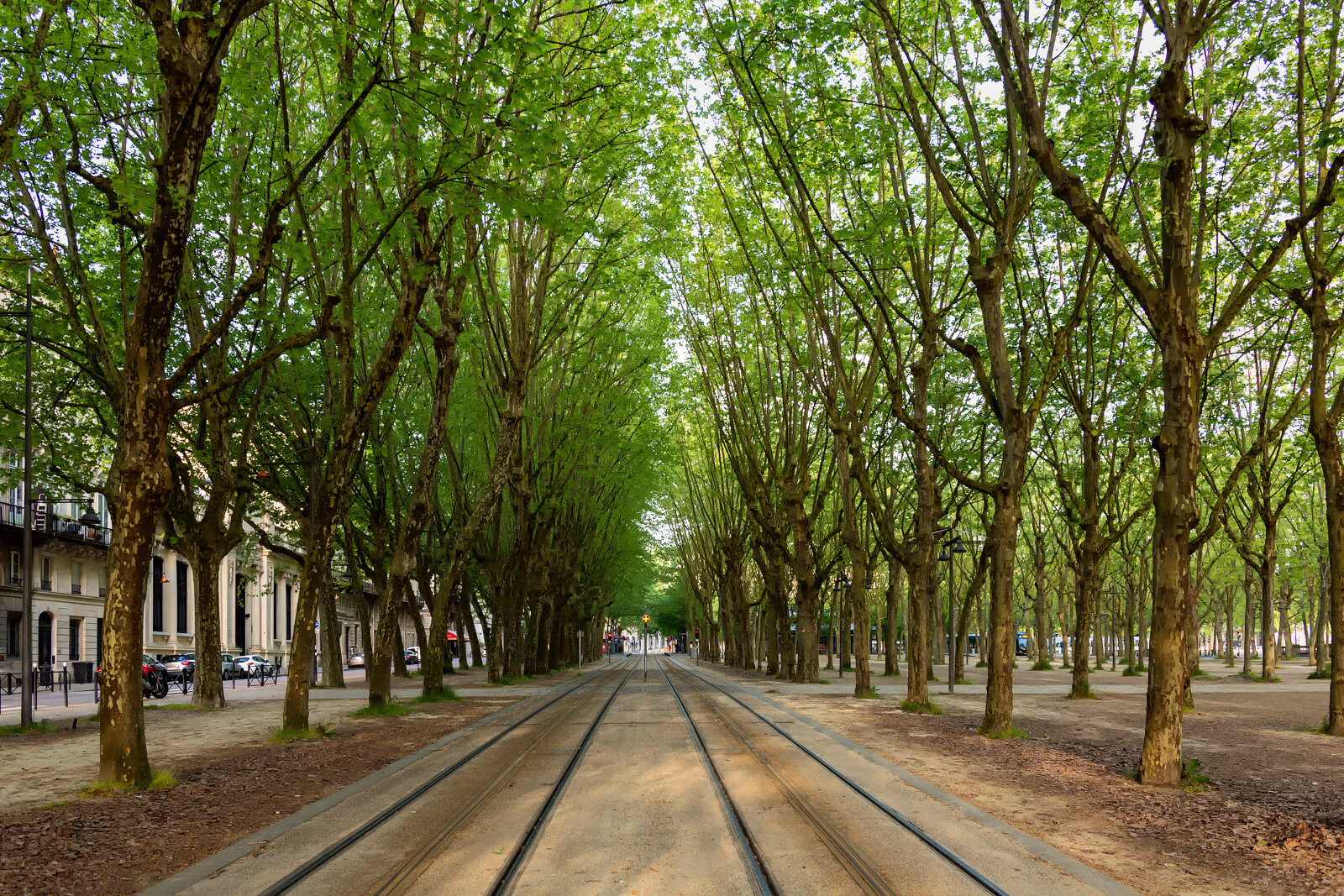 Allée d'Orléans