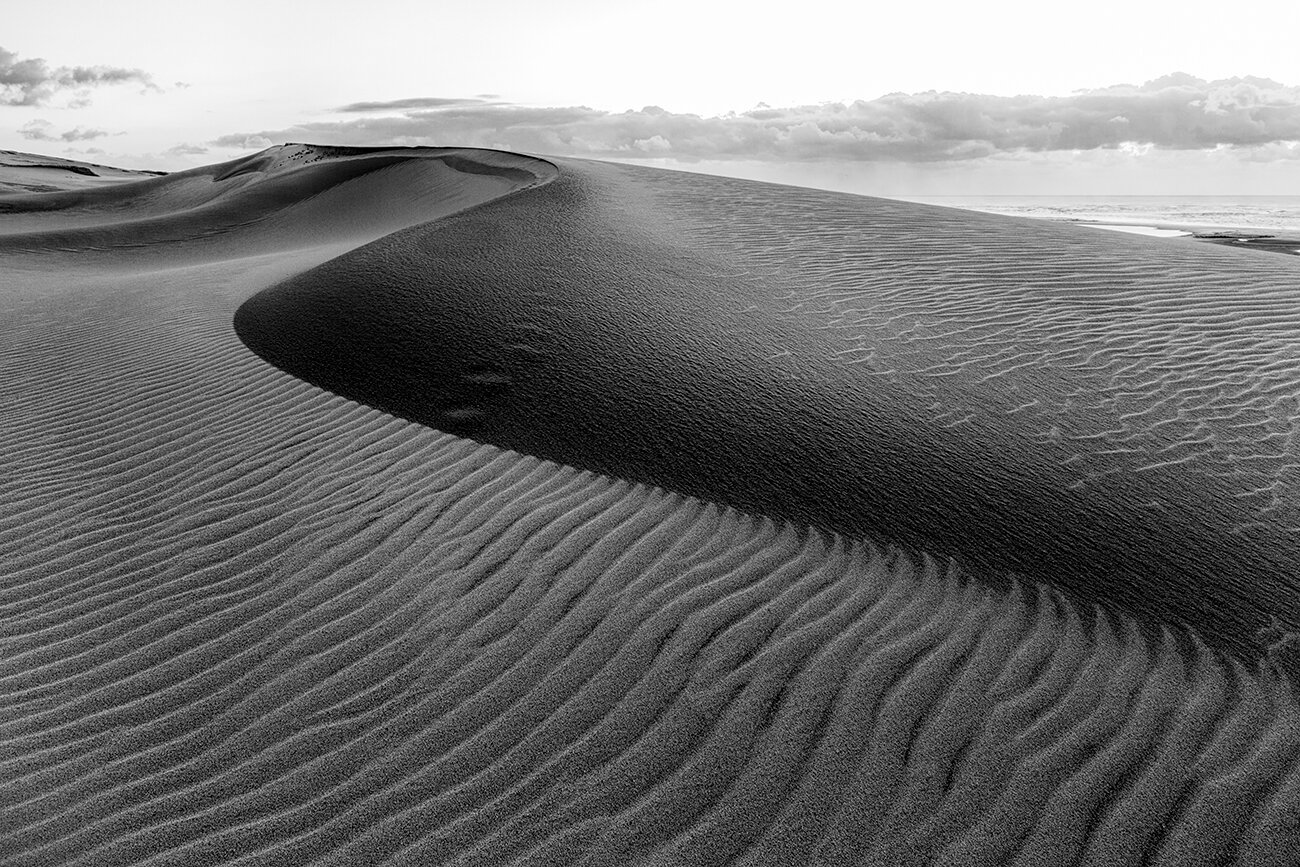 dune.jpg