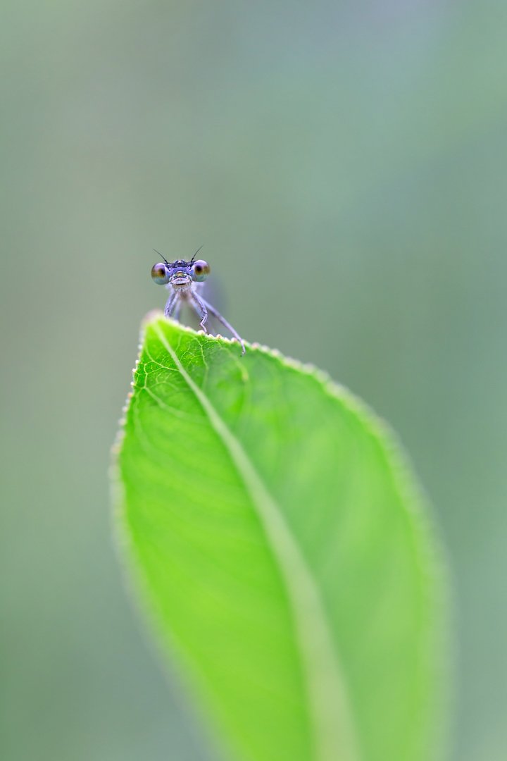 sitemarccphotographies1785.jpg