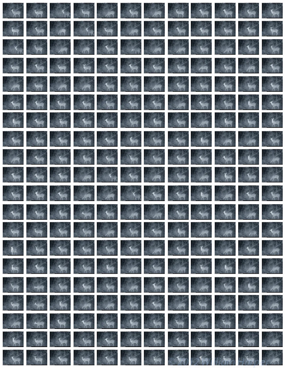 ftd_web-17.jpg