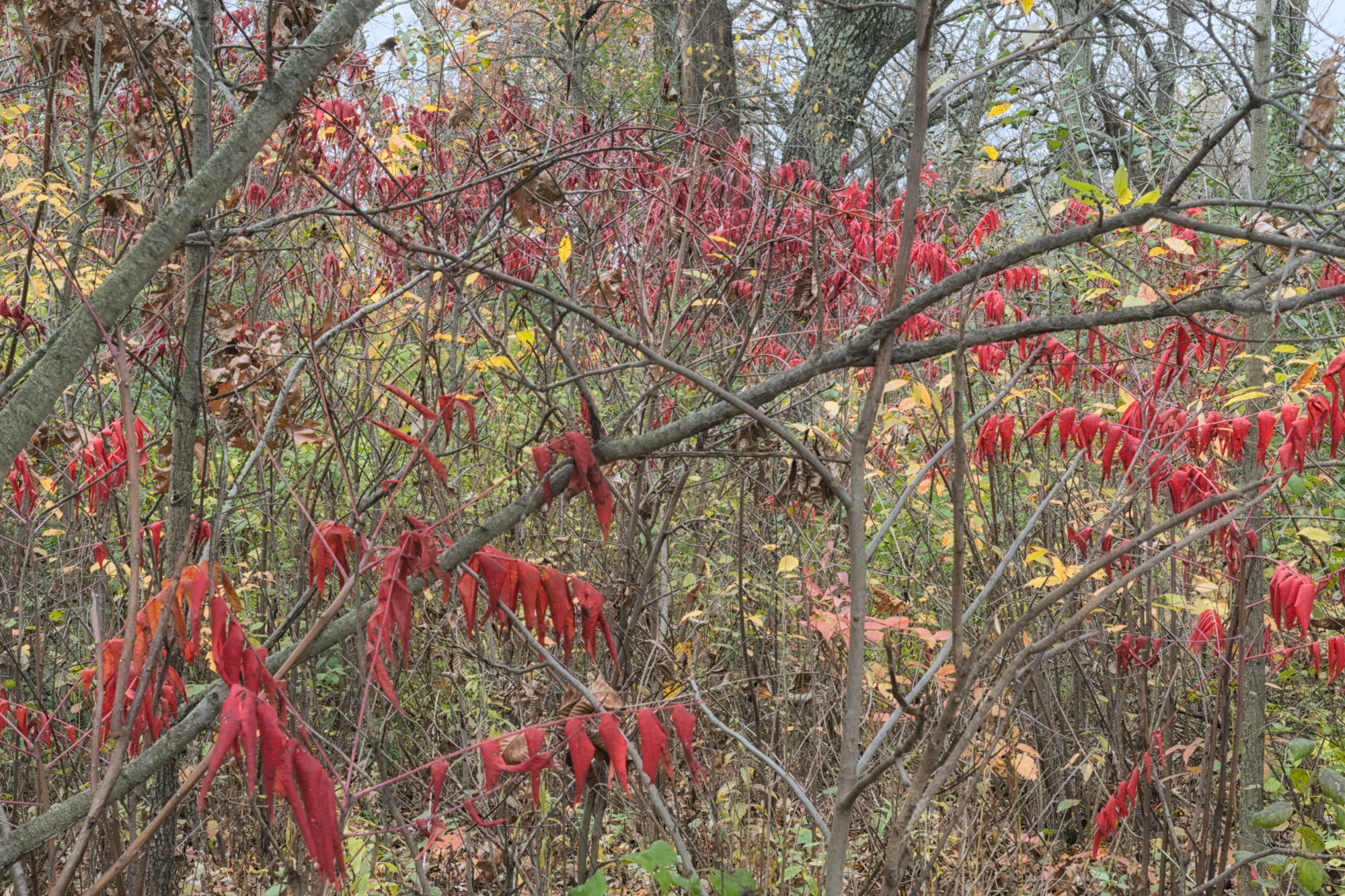14D_5128.jpg