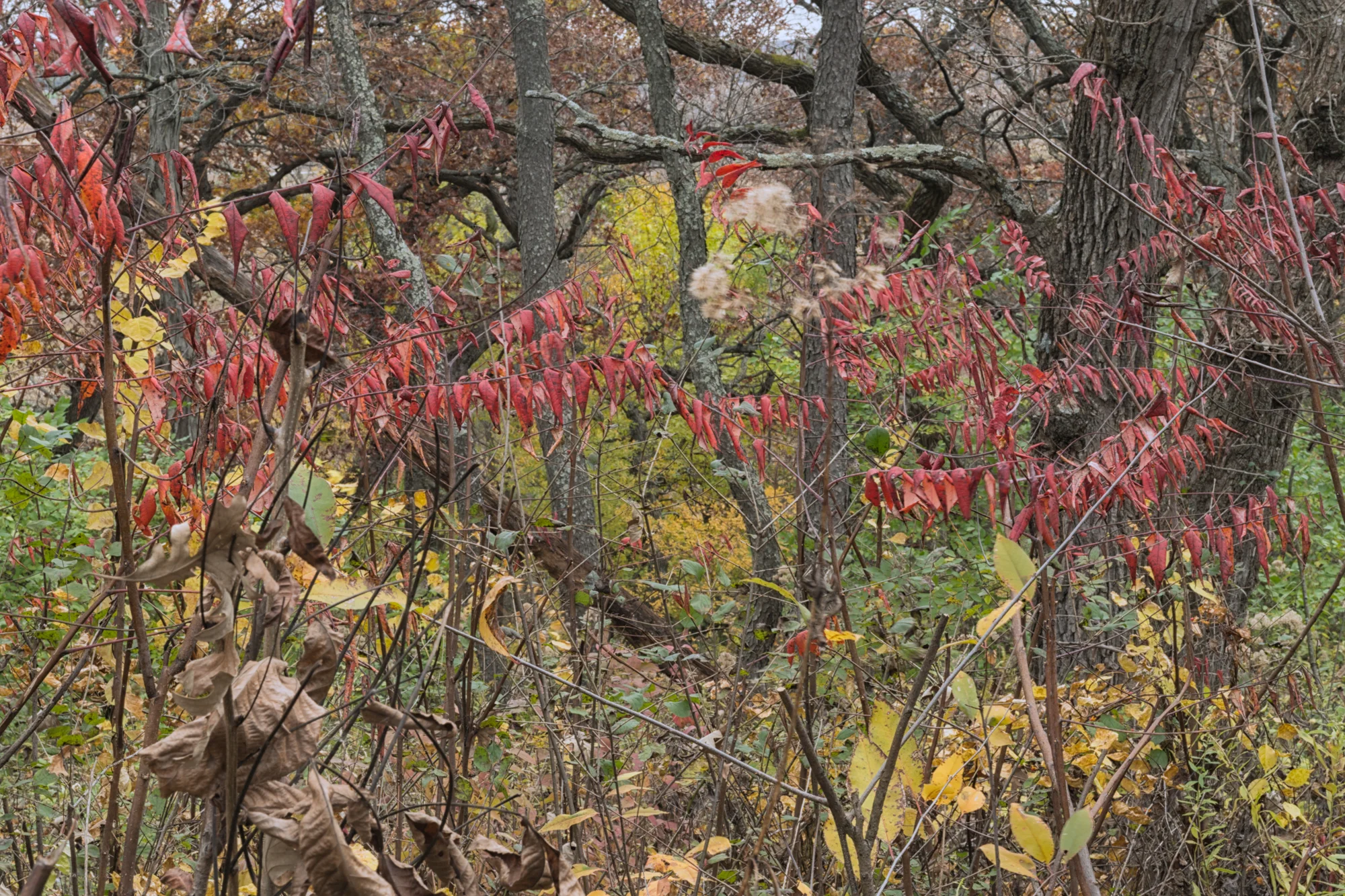 14D_5183.jpg