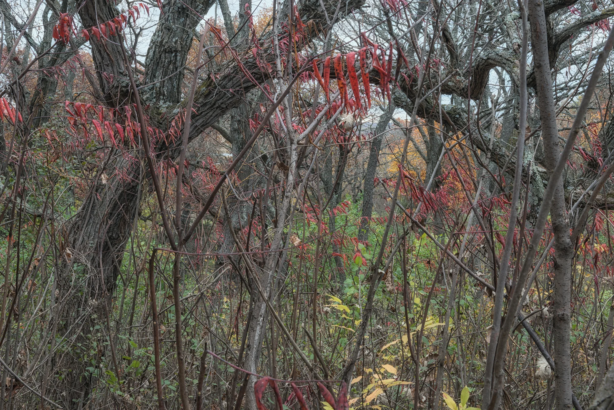 14D_5203.jpg