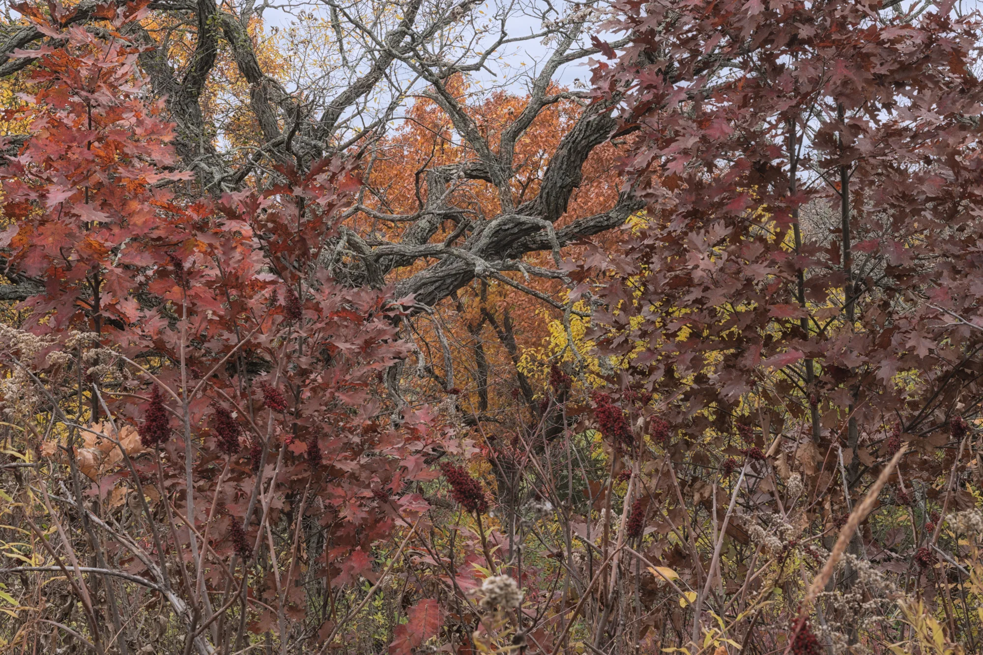 14D_5275.jpg