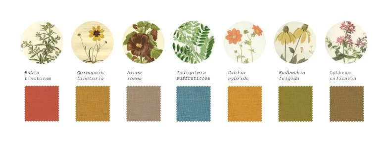 dye-plant.jpg
