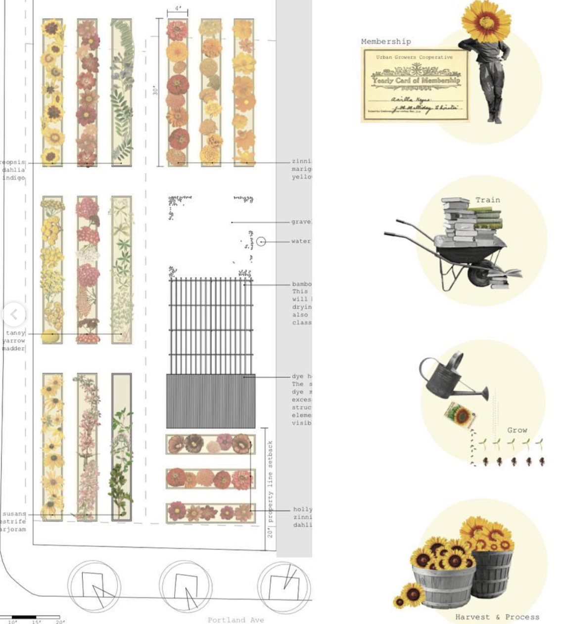 Screen Shot 2022-10-27 at 11.05.11 AM.png