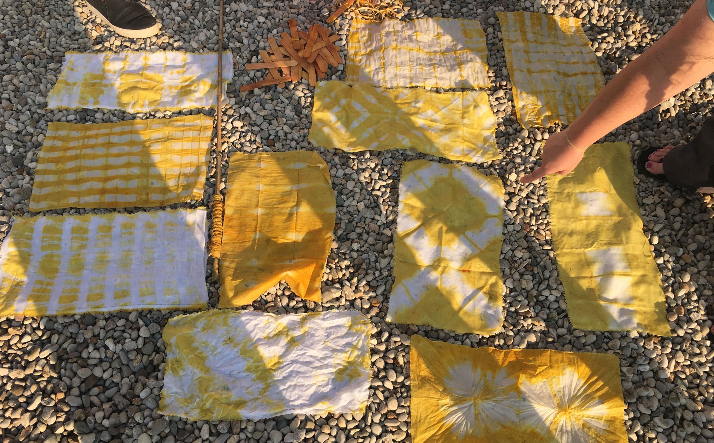 dyescape_workshop_marigold (2).jpg