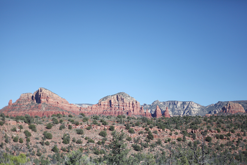 IMG_9703.jpg