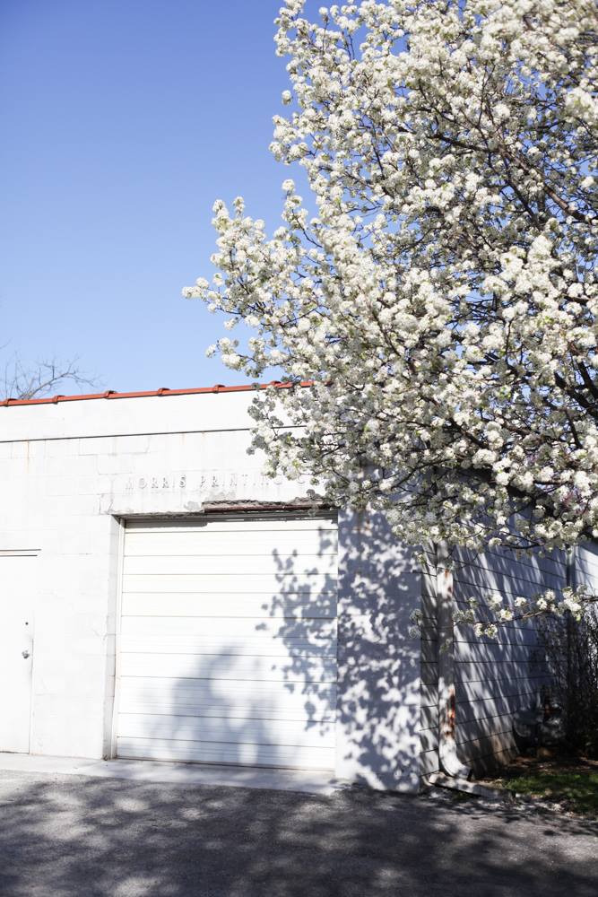 Old Northside | Indianapolis, IN