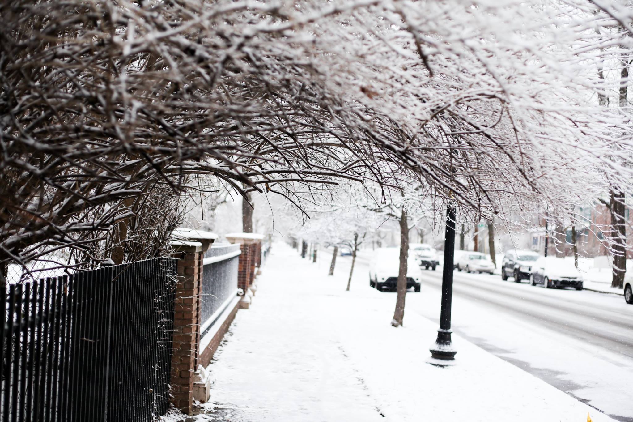 Old Northside | Indianapolis, IN
