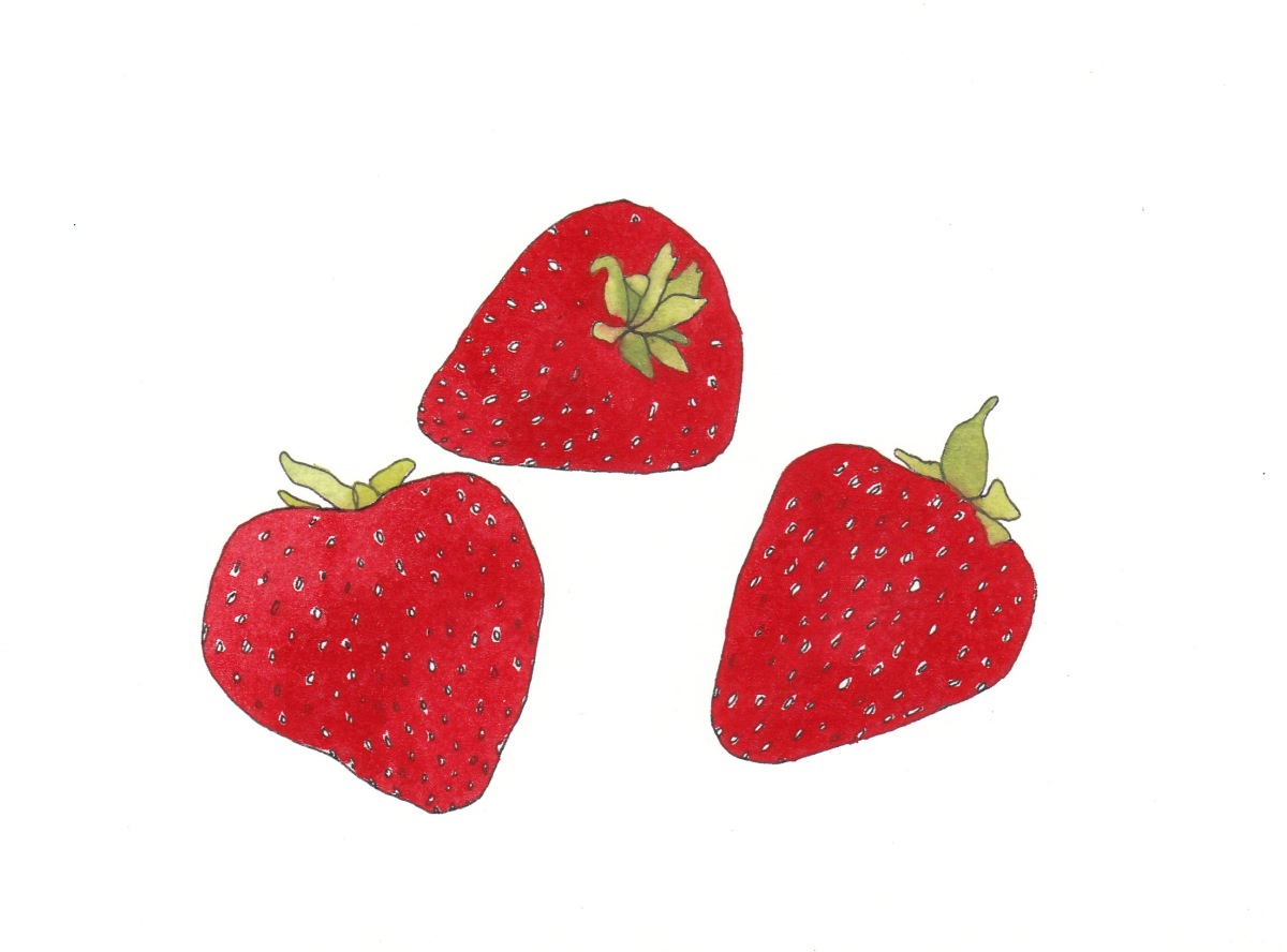 Strawberries. 2012. Acrylic on Paper. 6" x 9"