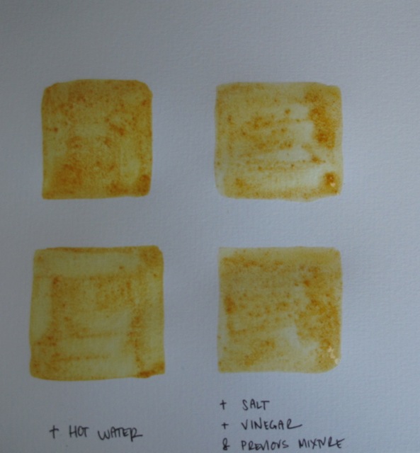 Tumeric-Swatches.jpg