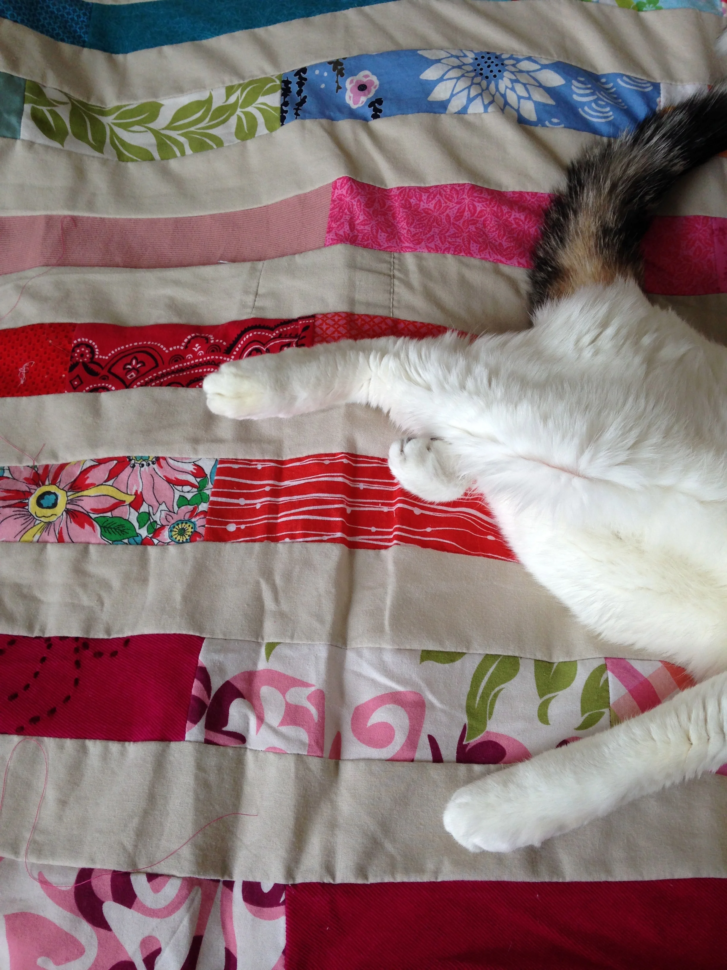 birthday-quilt2.jpg