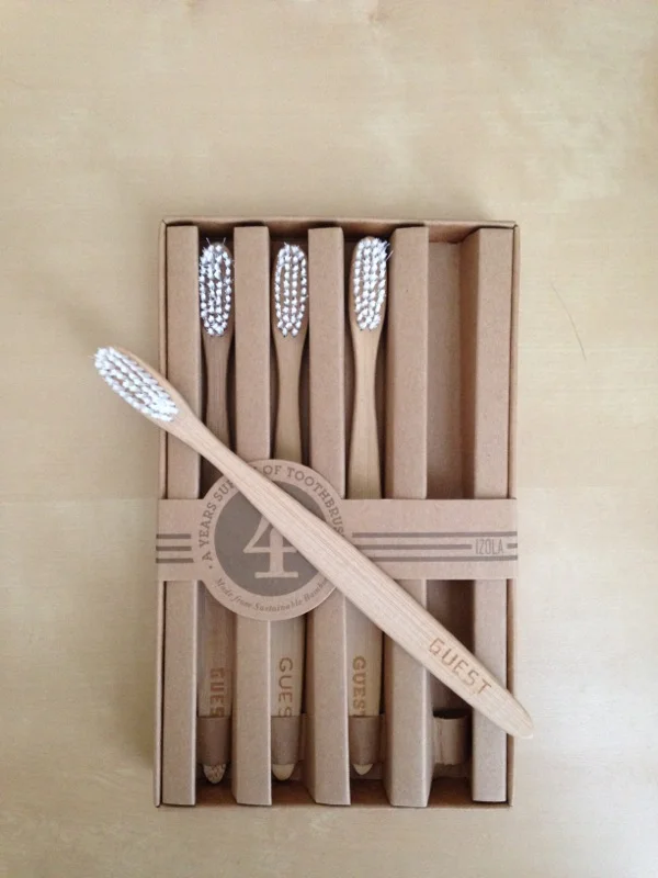 eco-friendly_toothbrush.jpg