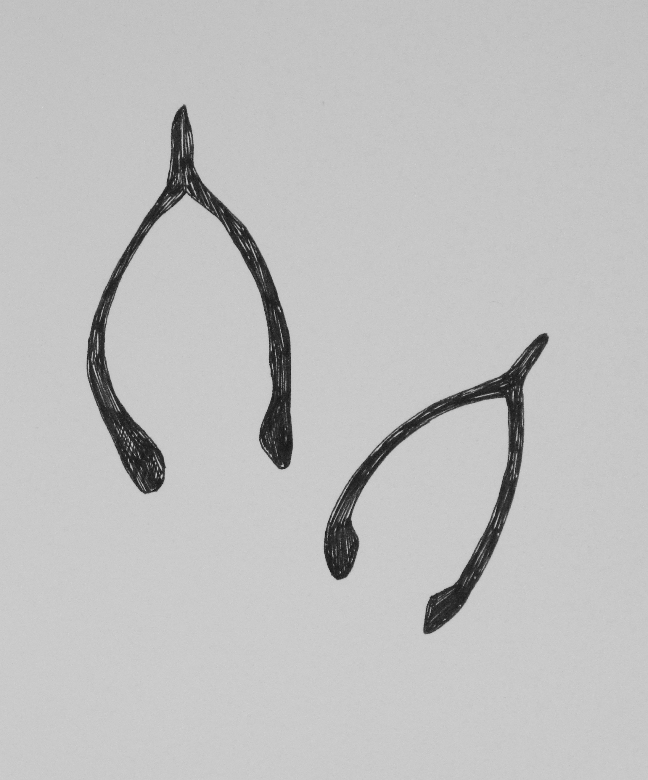 Wishbone. 2015. Ink on Paper