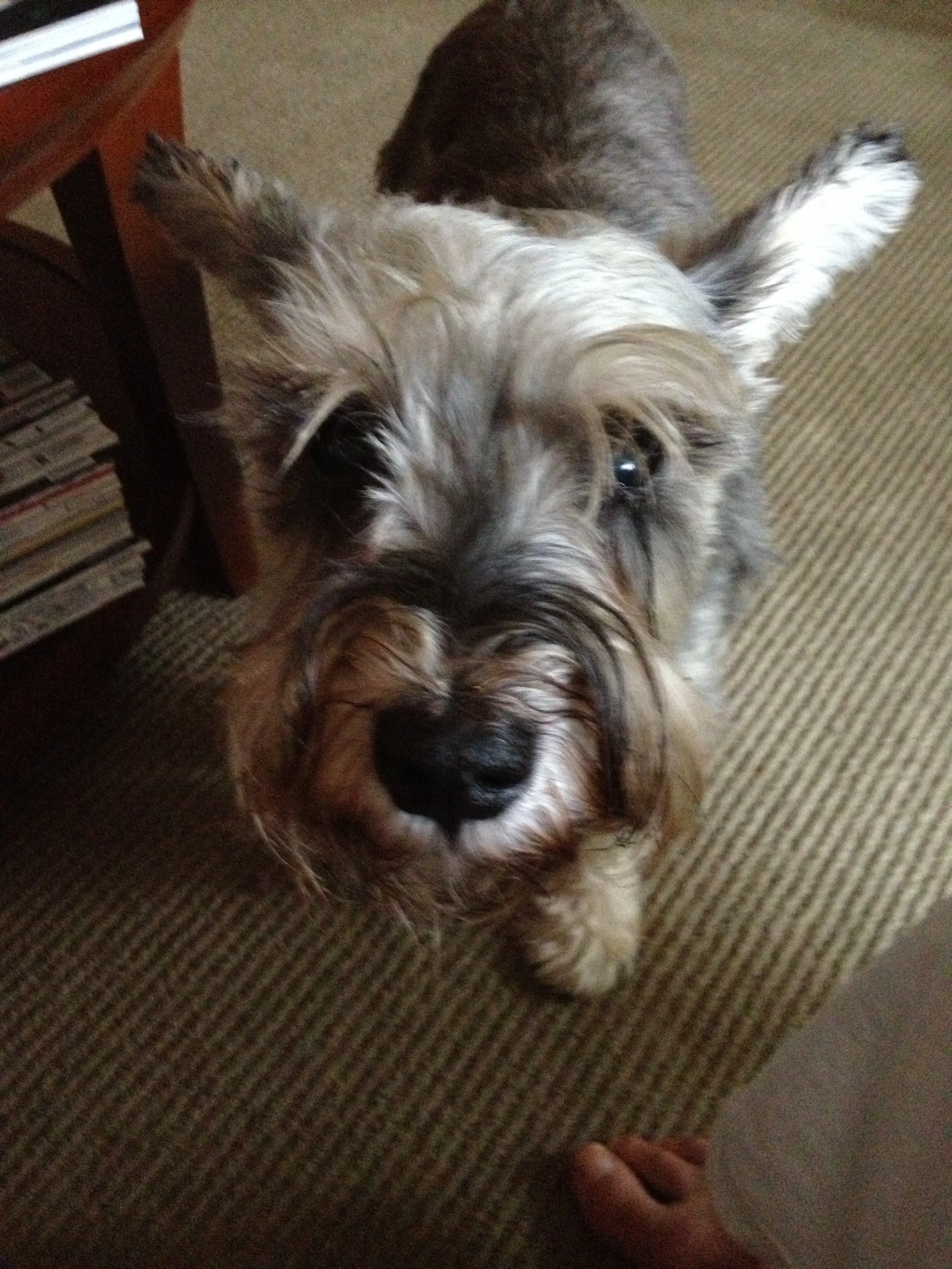    SCHEDULE A HOME VISIT     &nbsp; 