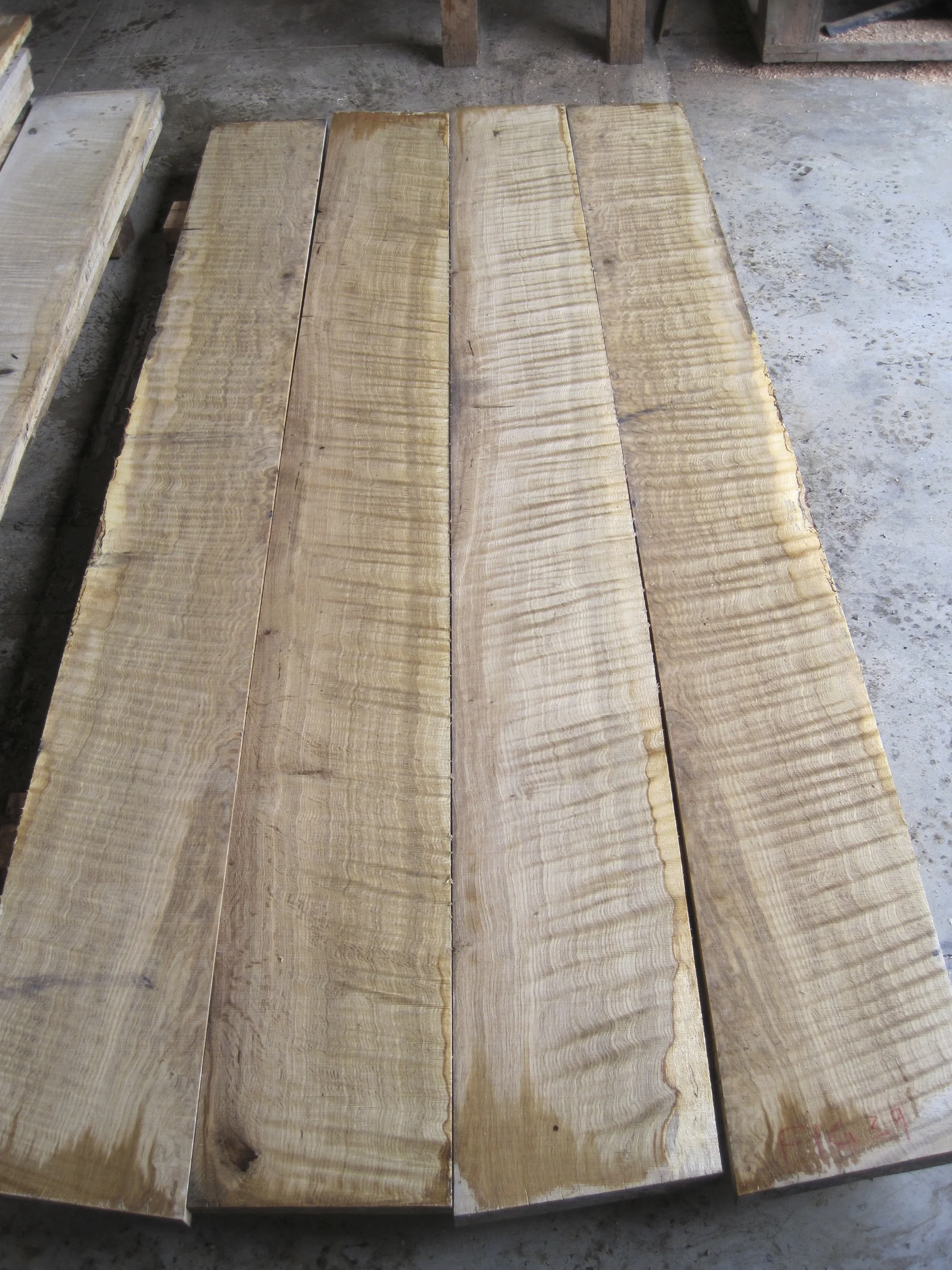 What is So Special About Oregon White Oak (Part 3) — Zena Forest Products Salem, OR