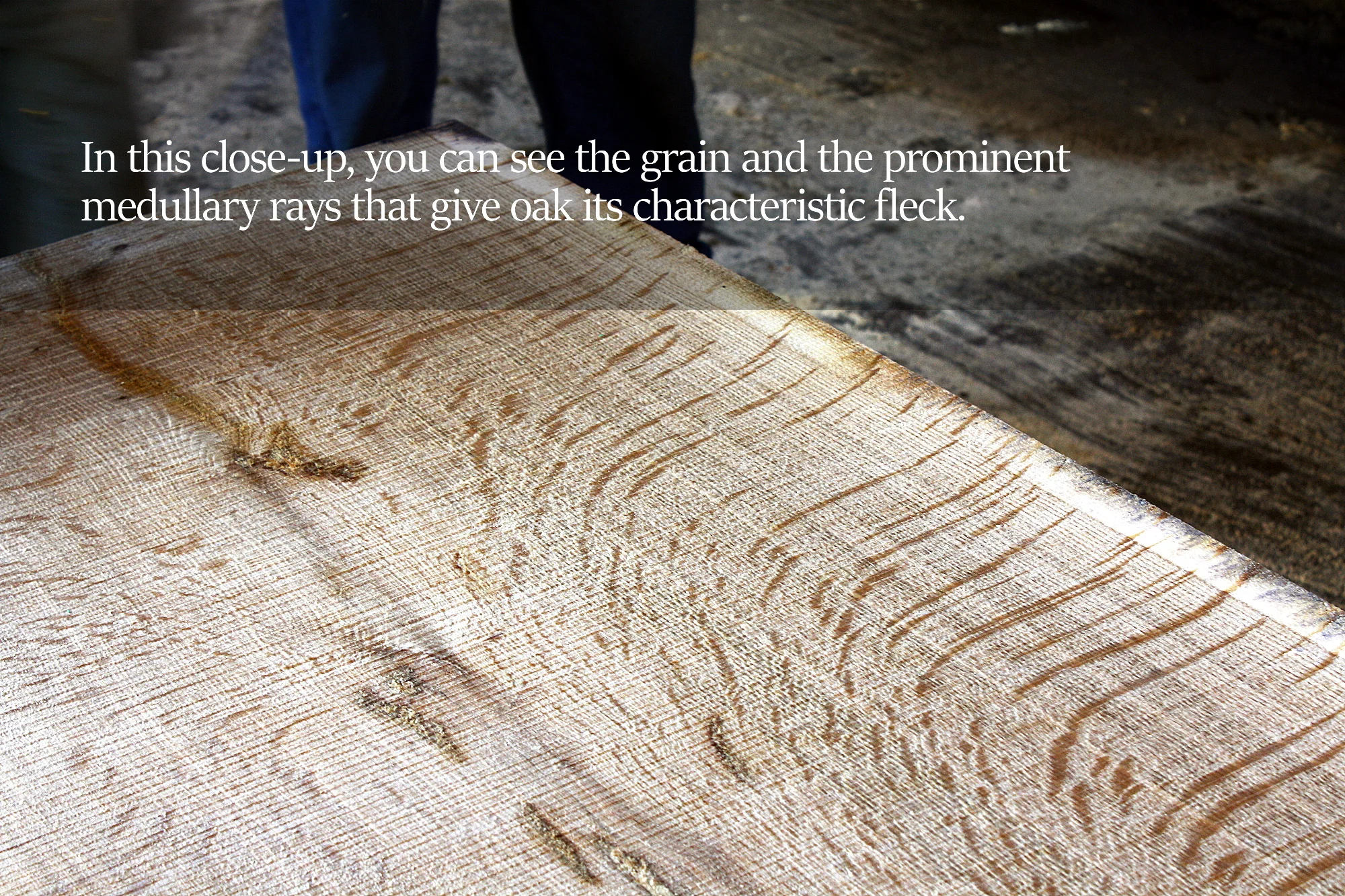 12graincloseupcaption.jpg