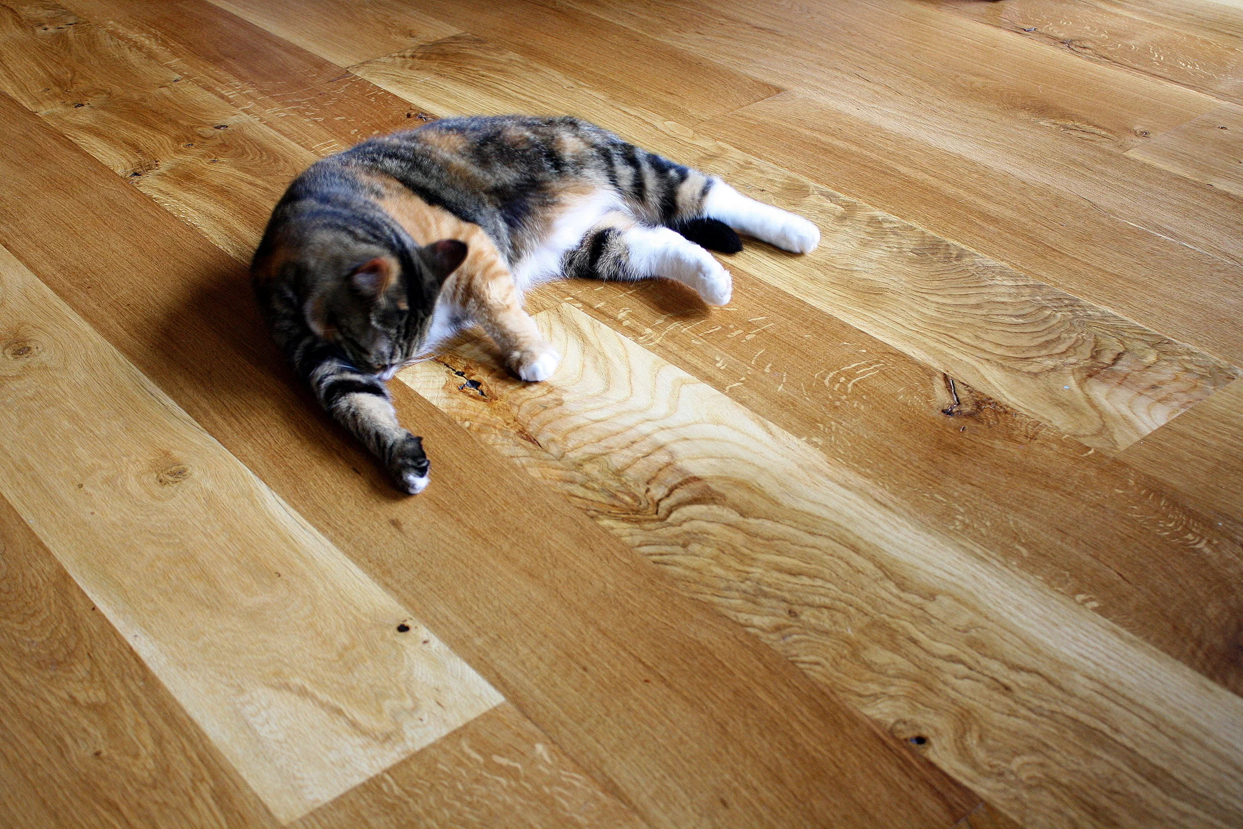 OREGONGROWN FLOORING — Zena Forest Products Salem, OR