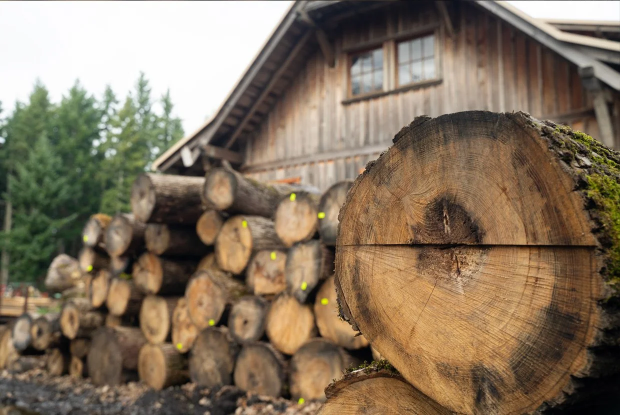 Zena Forest & Mill Tour for AEC Professionals