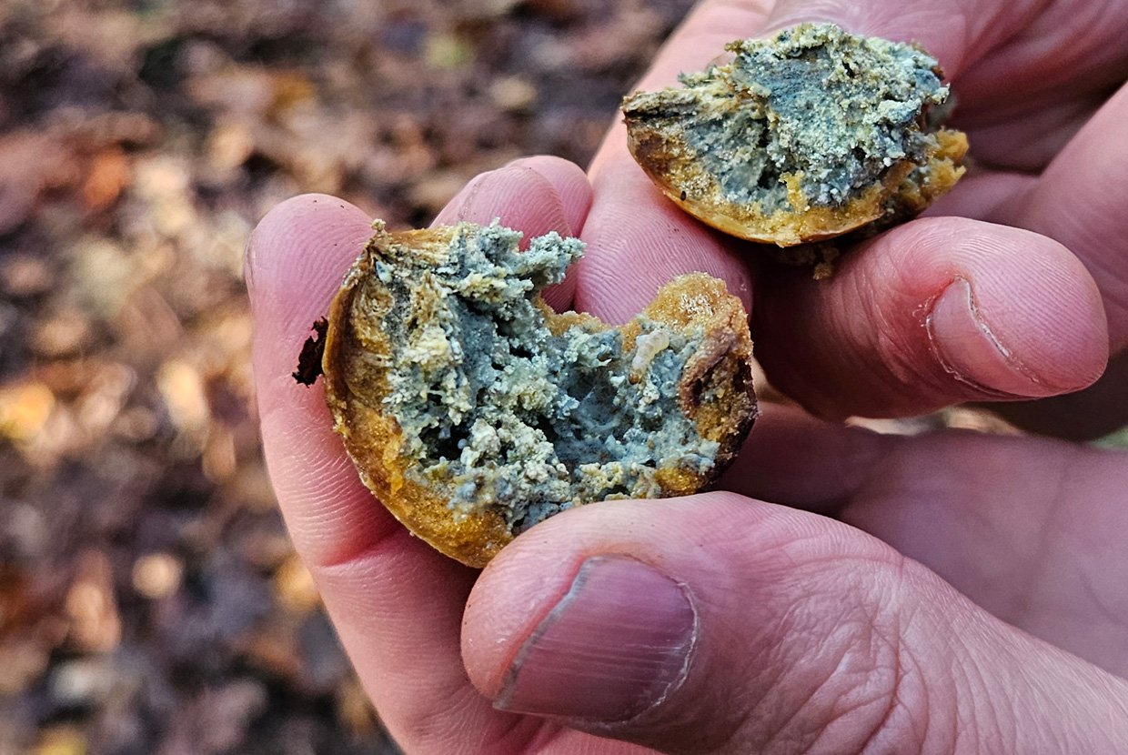 Zena Forest & Mill Tour for AEC Professionals