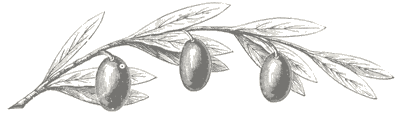 branch.gif