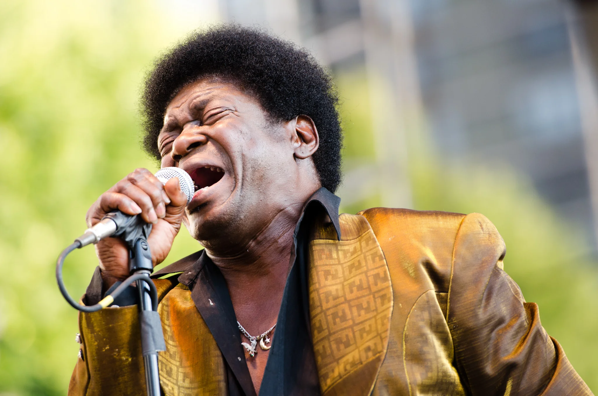 charlesbradley.jpg