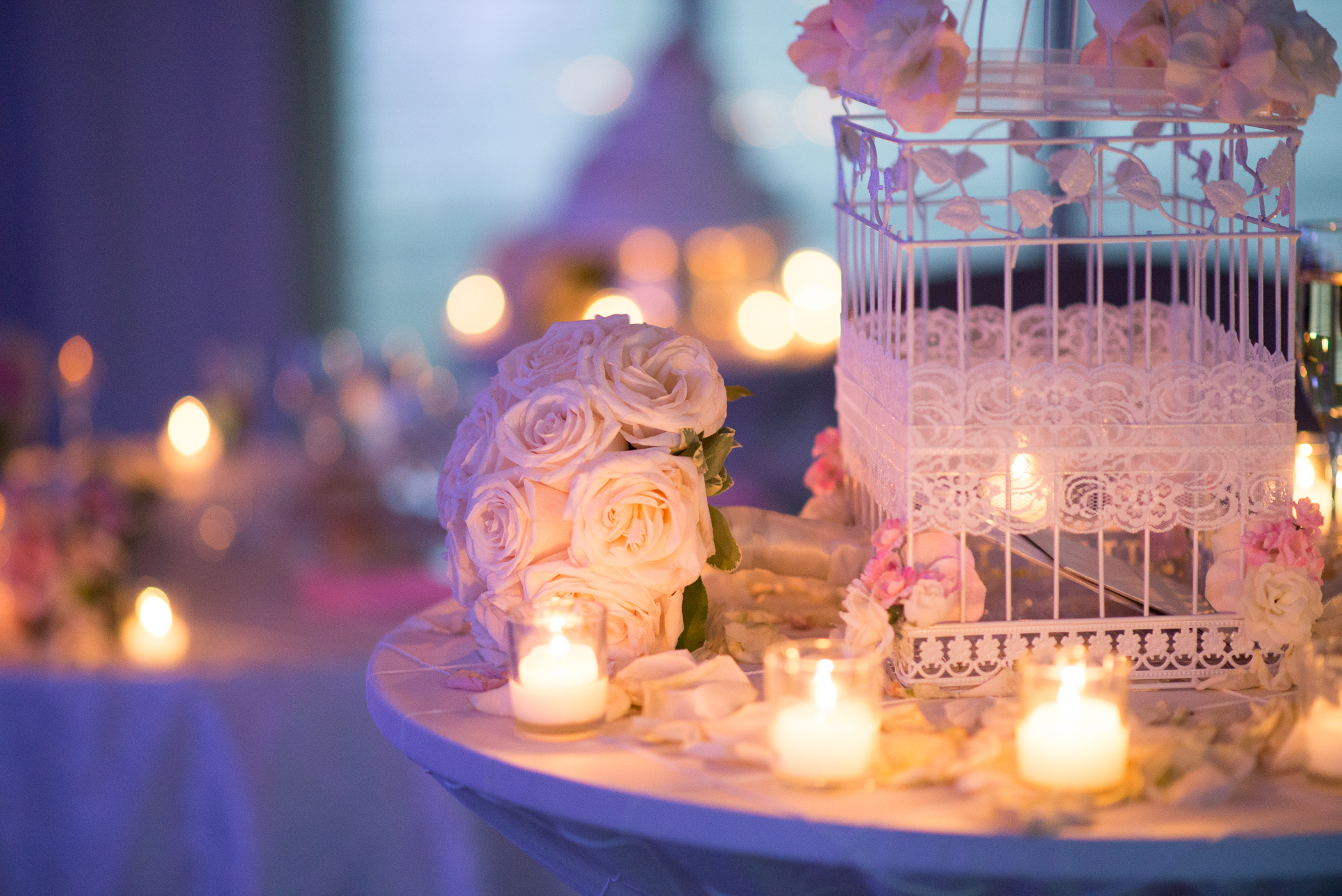 Francesca&DavePreview-52.jpg