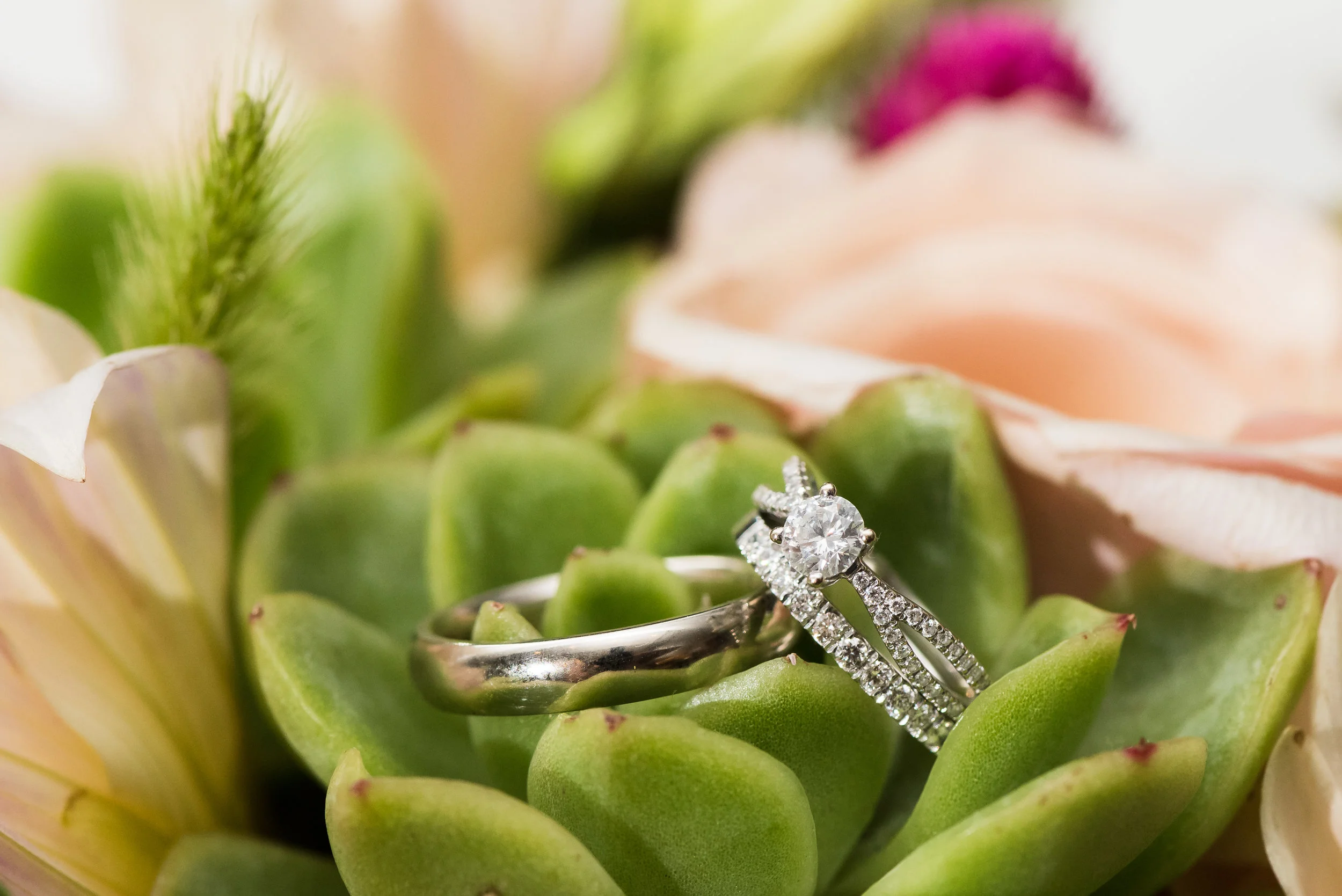Christine&Rob-Preview-3.jpg