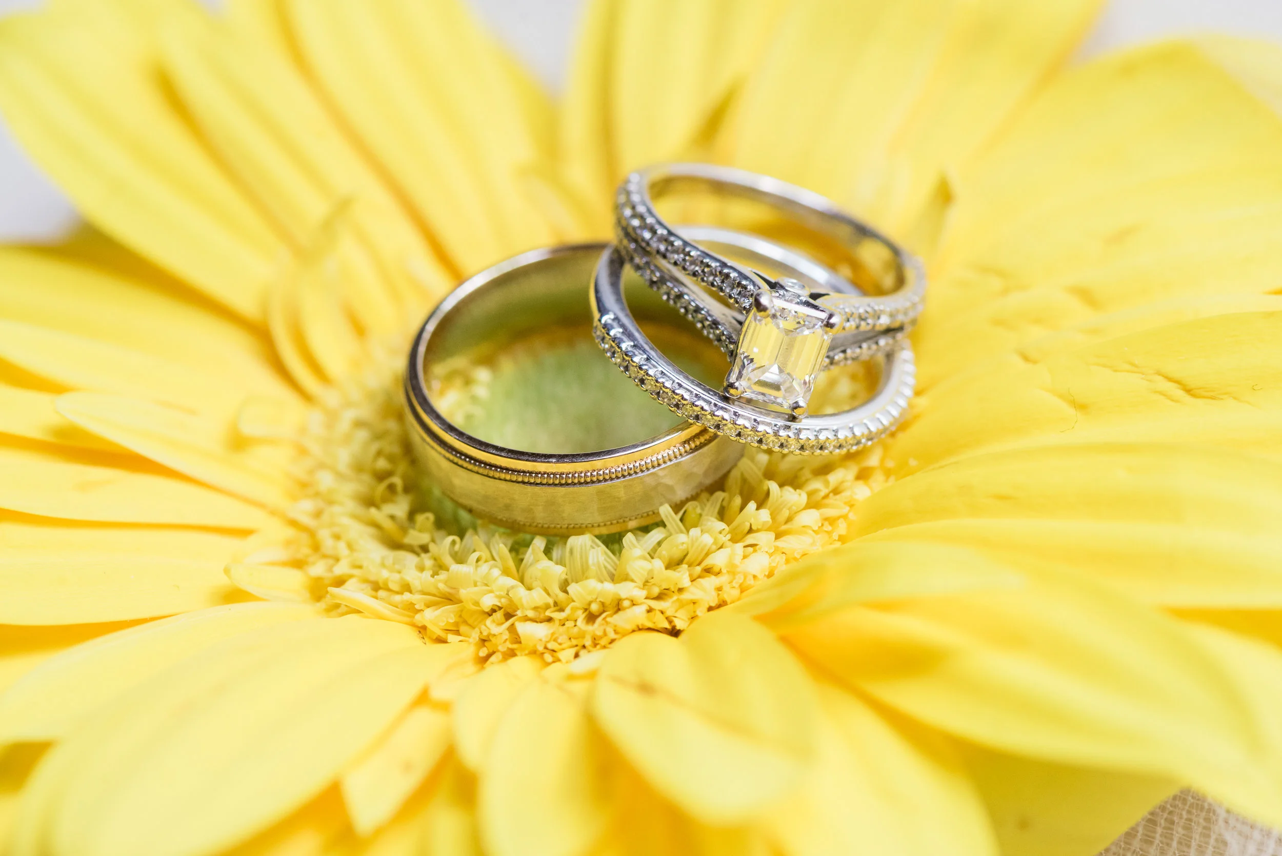 CrotonOnHudsonWedding015.jpg