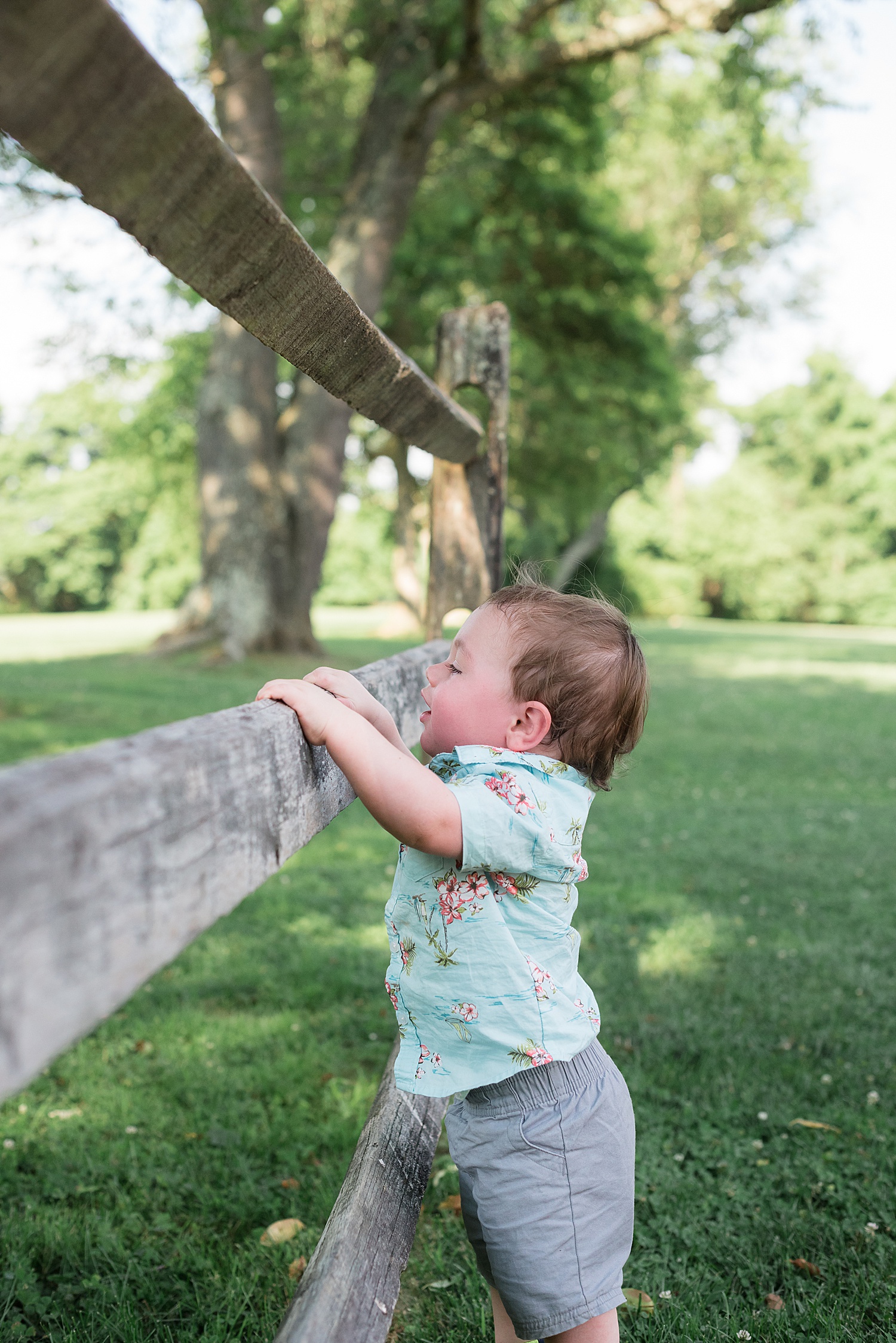 SummerParkFamilyToddlerPhotoSession09.JPG