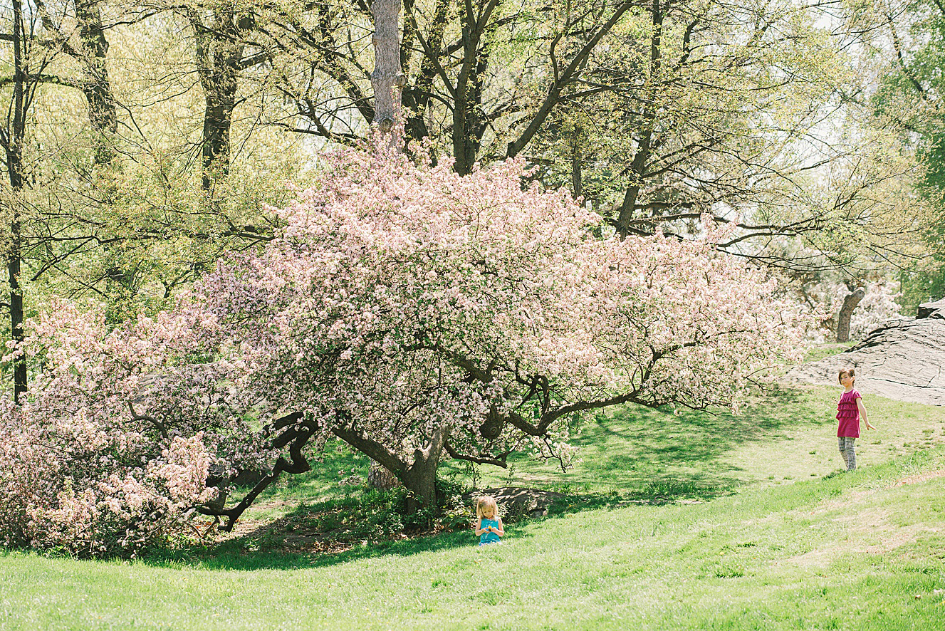 CentralParkFamilyPhotography15.JPG