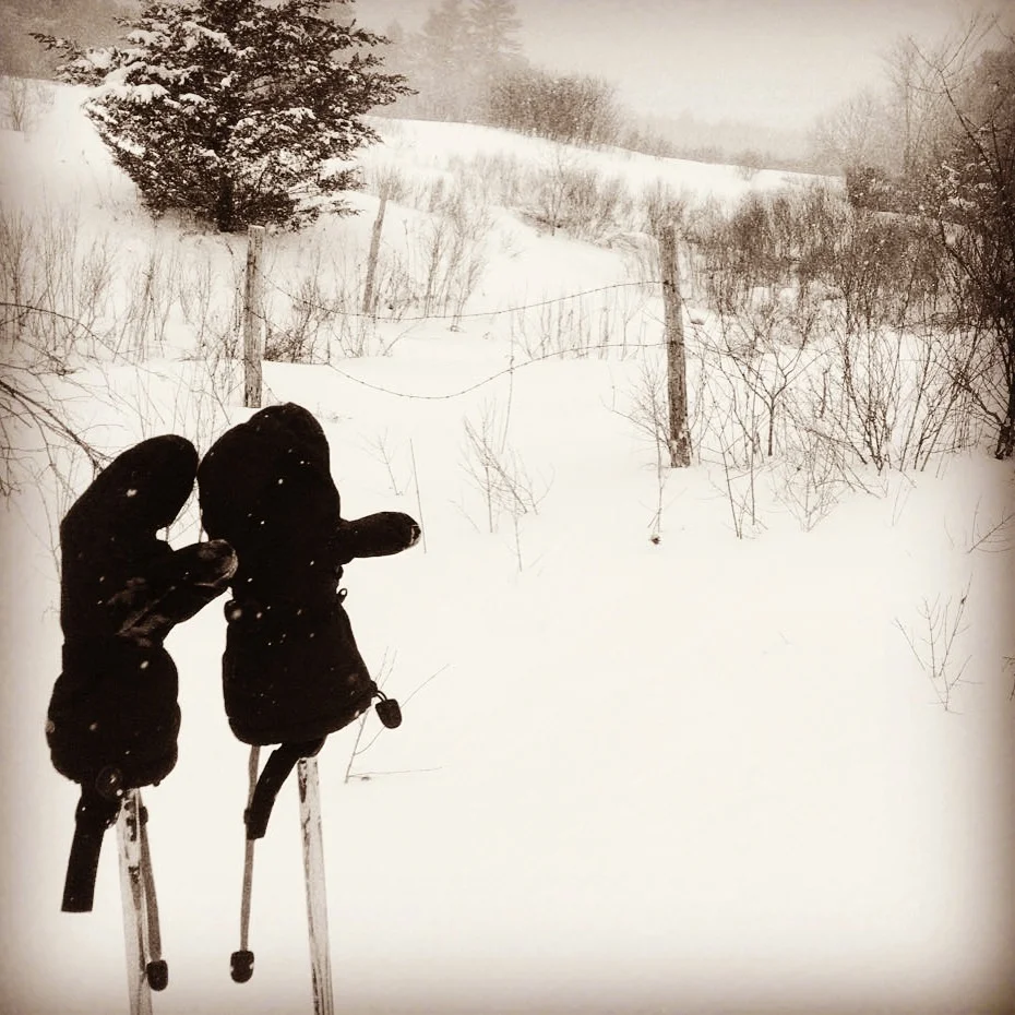 THE CATAMOUNT TRAIL - SECTION 5